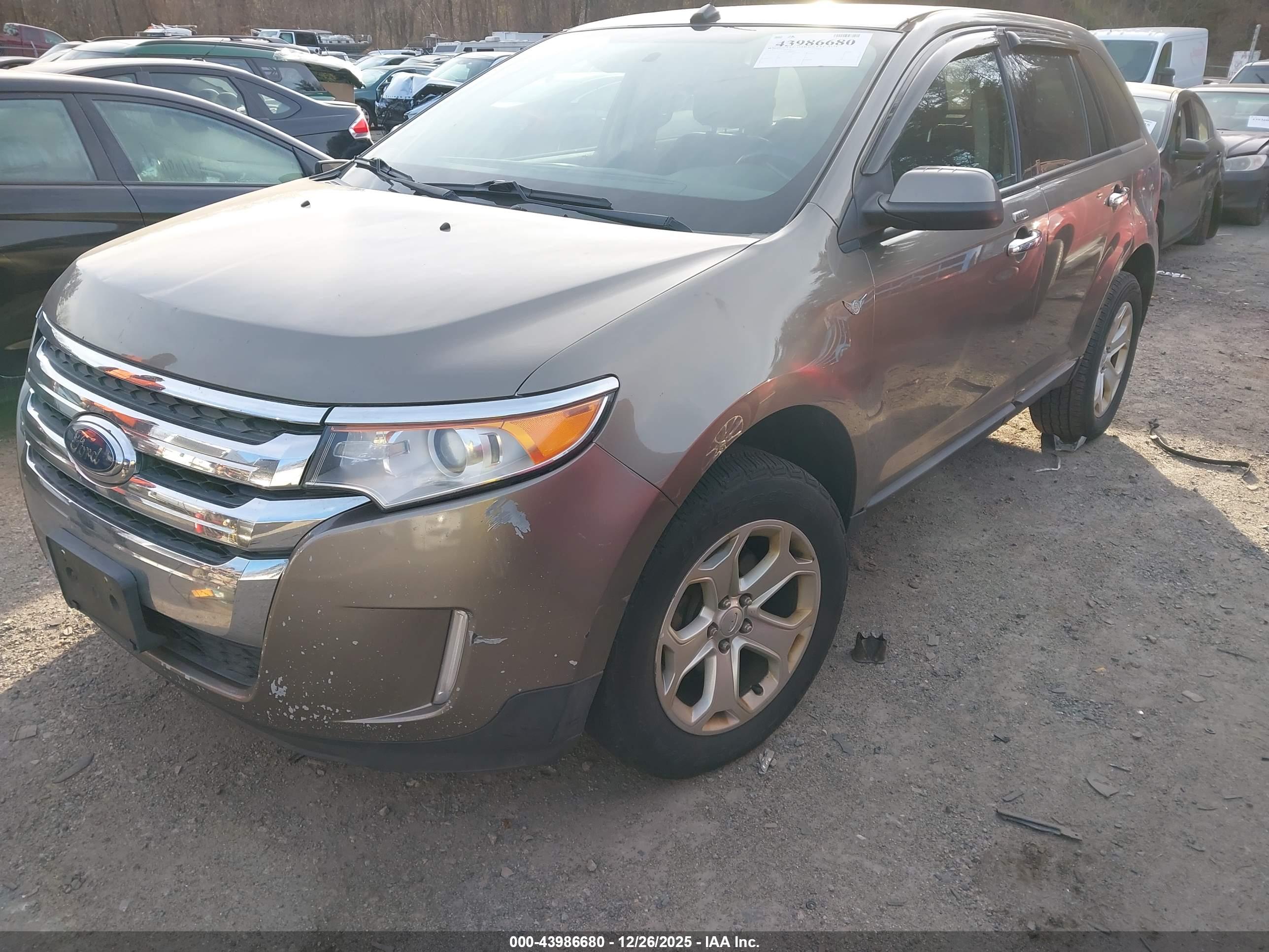 FORD EDGE image 2