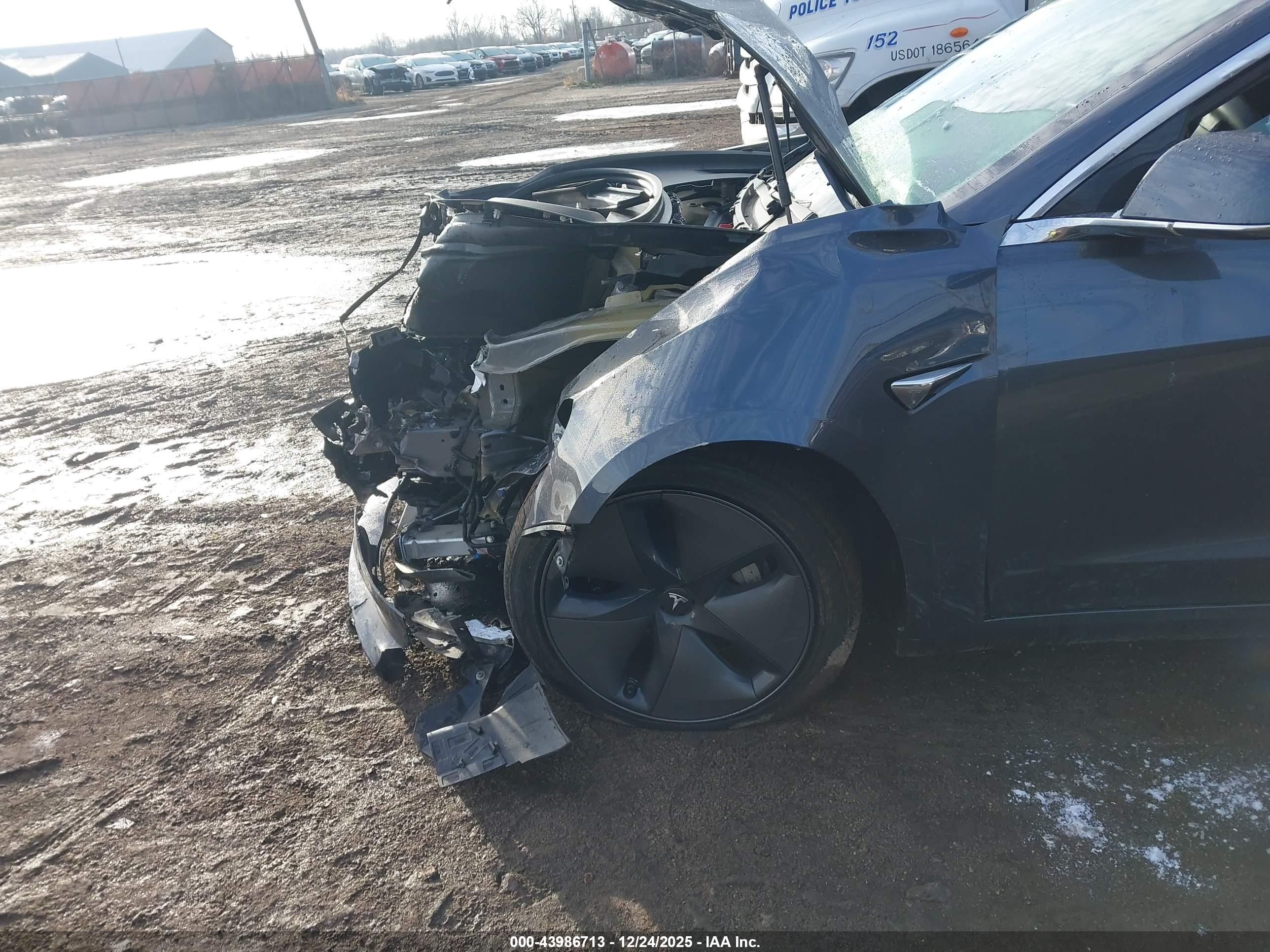 TESLA MODEL image 6
