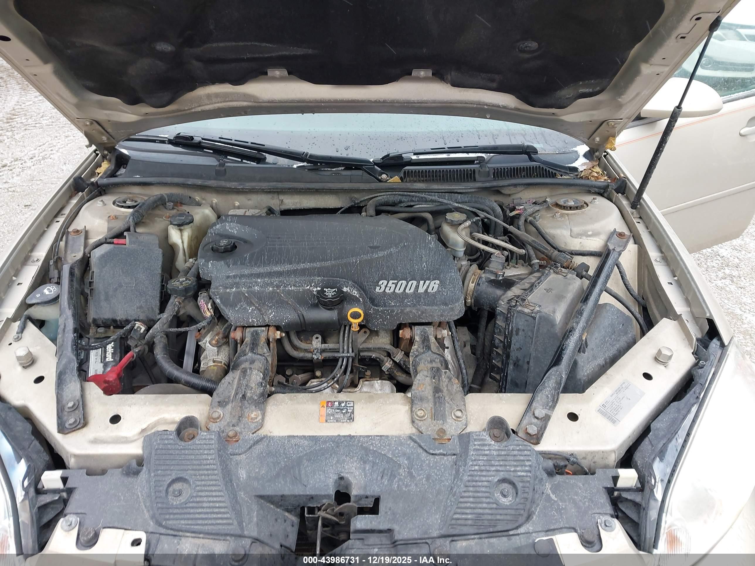 CHEVROLET IMPALA image 10