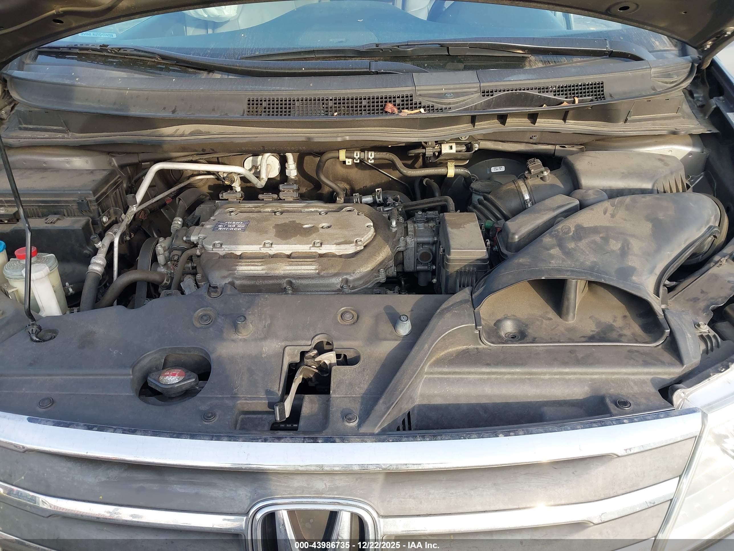 HONDA ODYSSEY image 10