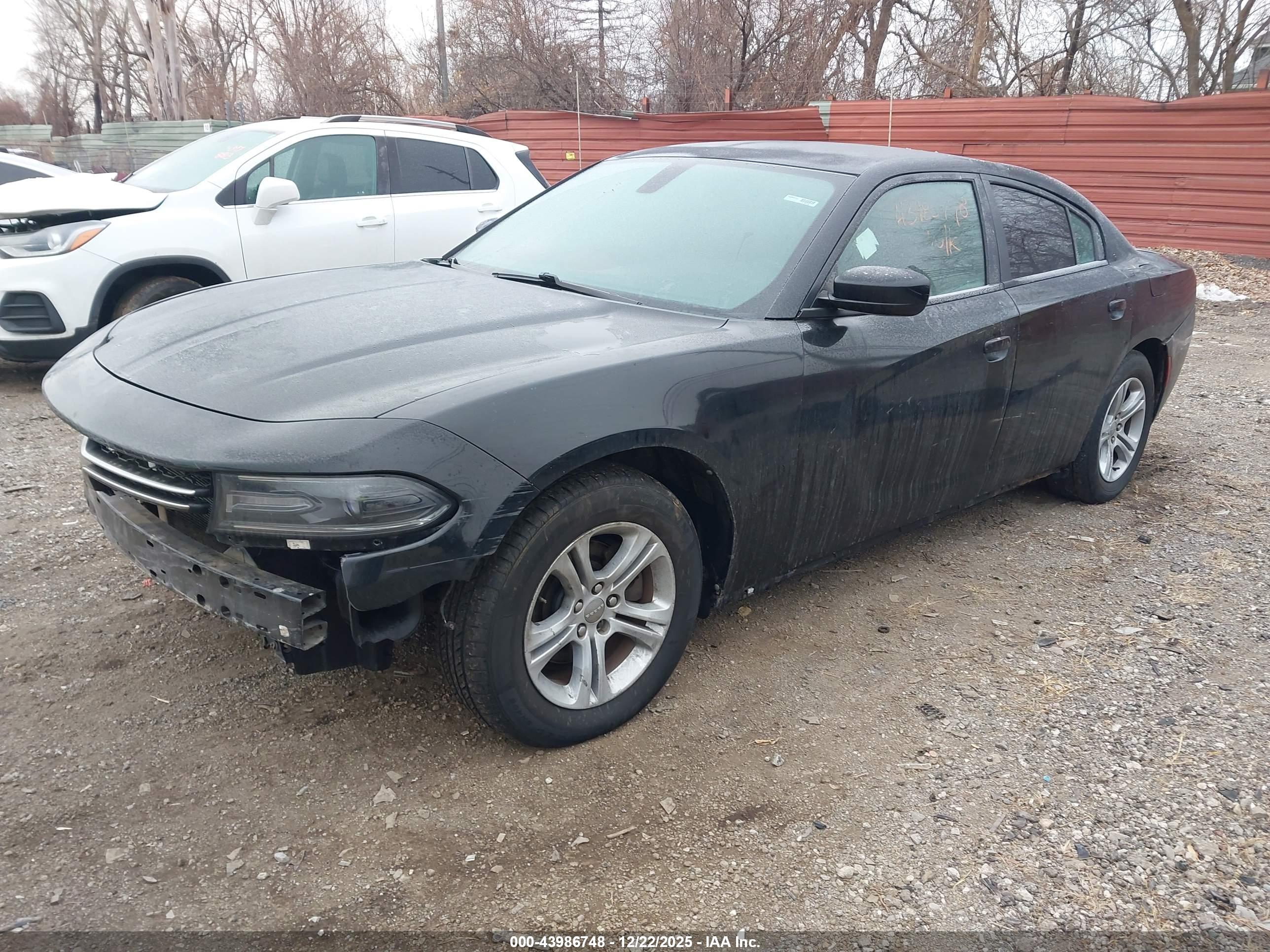 DODGE CHARGER image 2