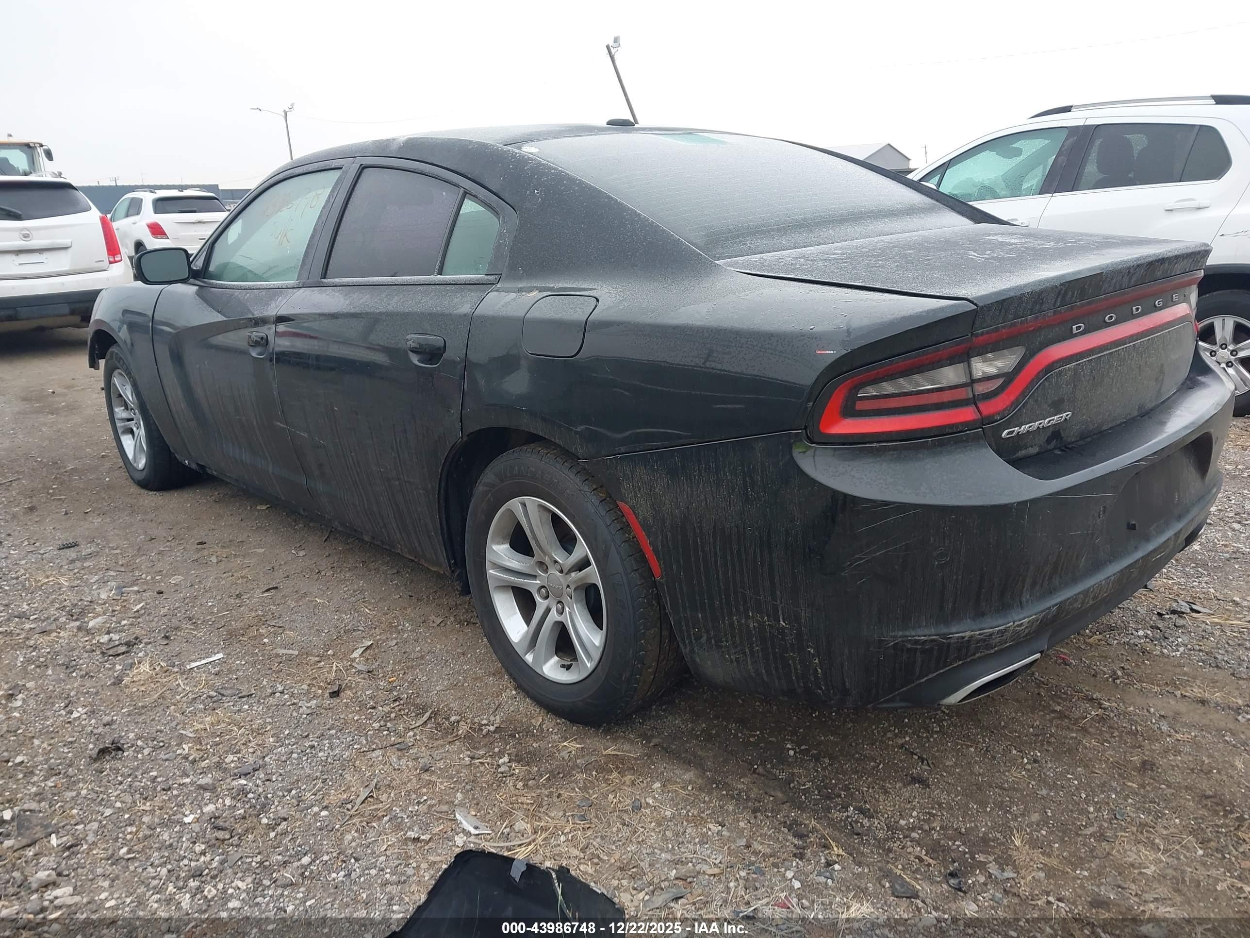 DODGE CHARGER image 3