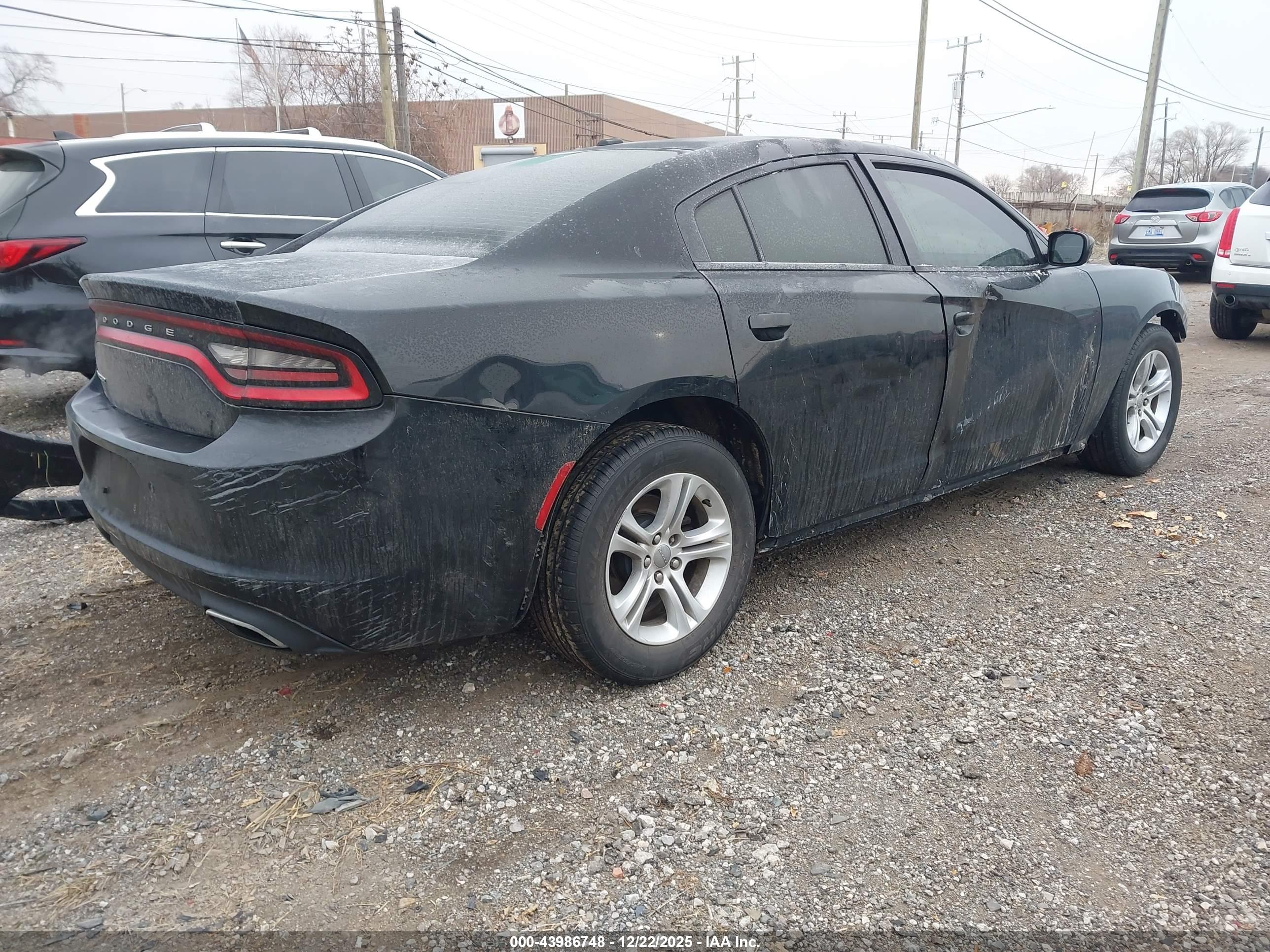 DODGE CHARGER image 4