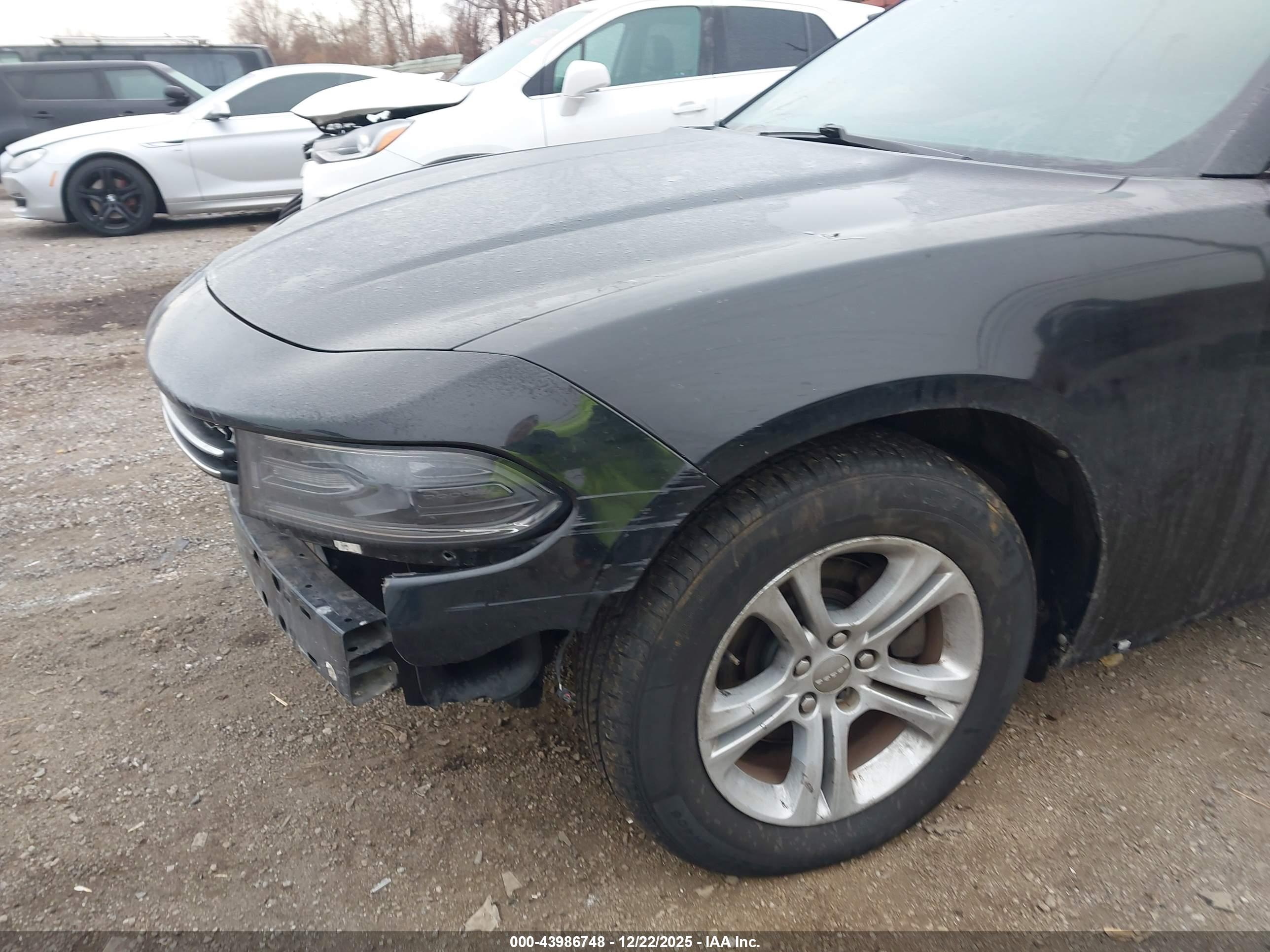 DODGE CHARGER image 6