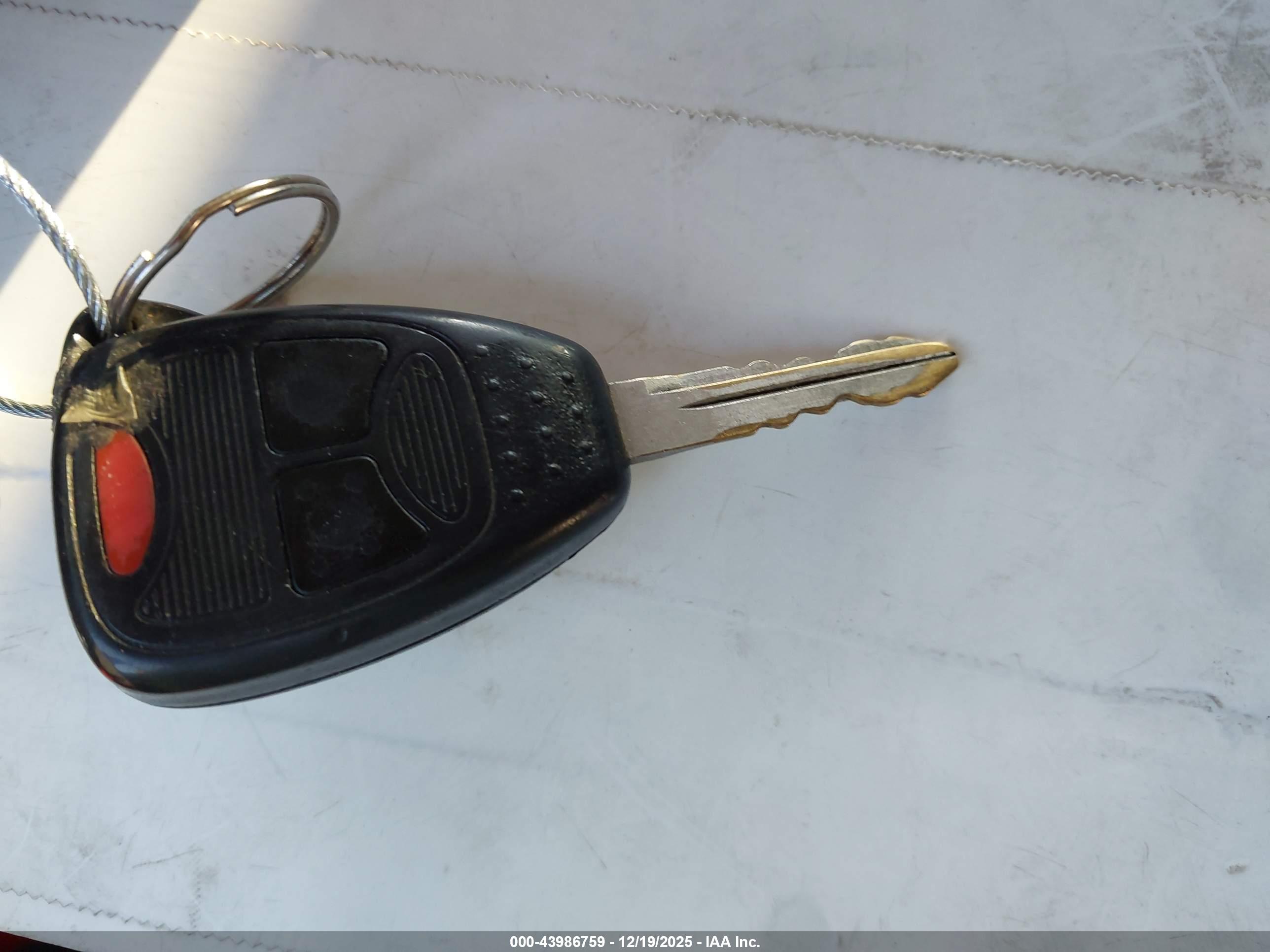 JEEP WRANGLER image 11