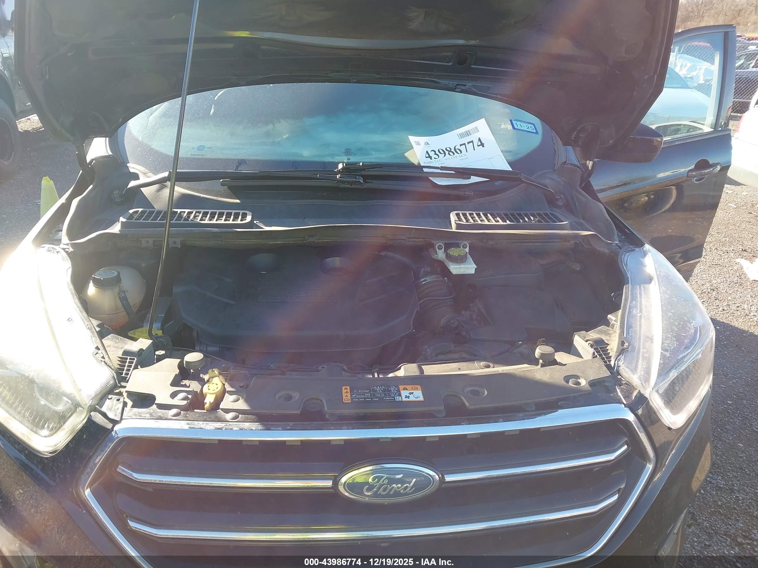 FORD ESCAPE image 10