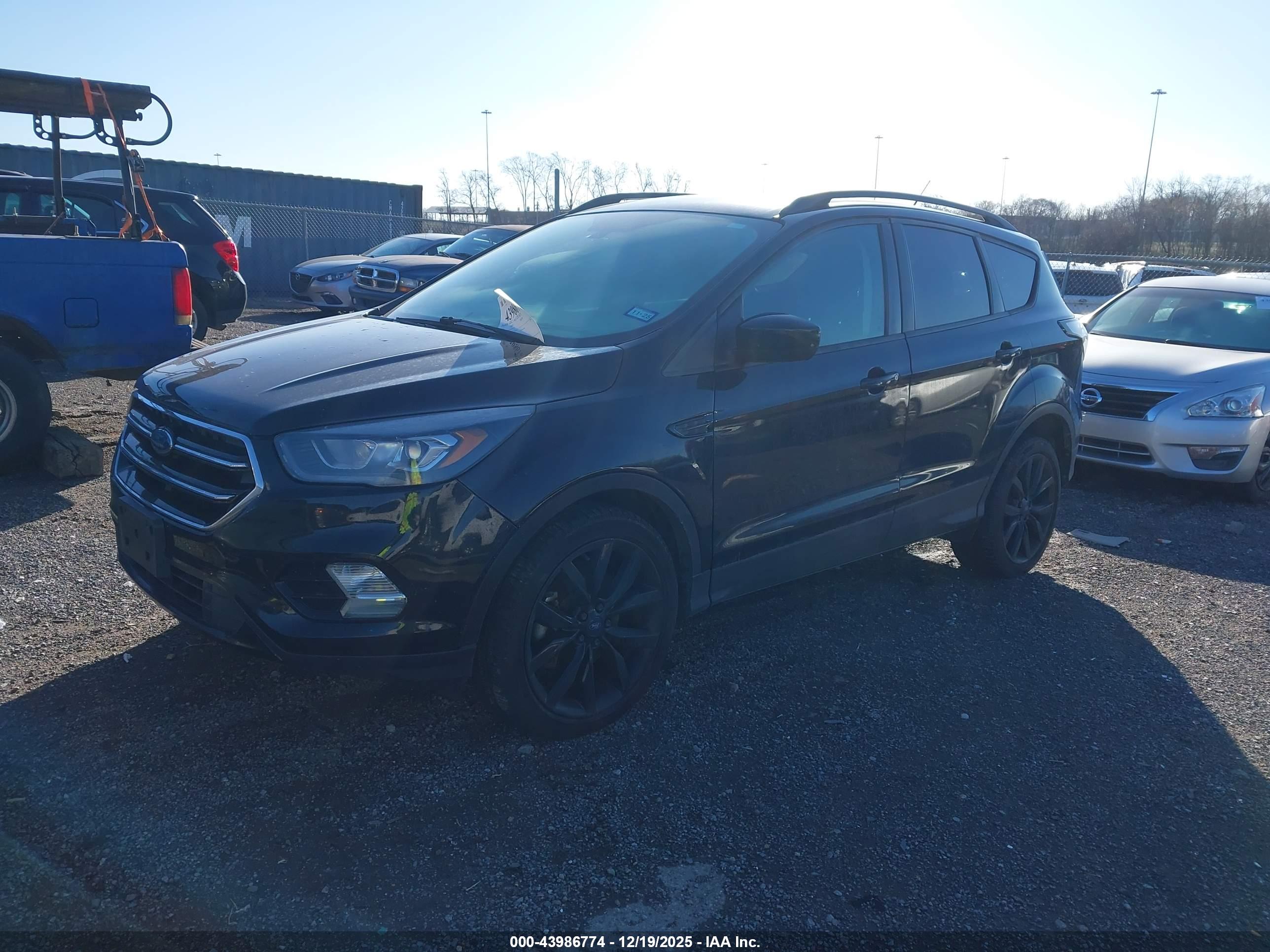 FORD ESCAPE image 2