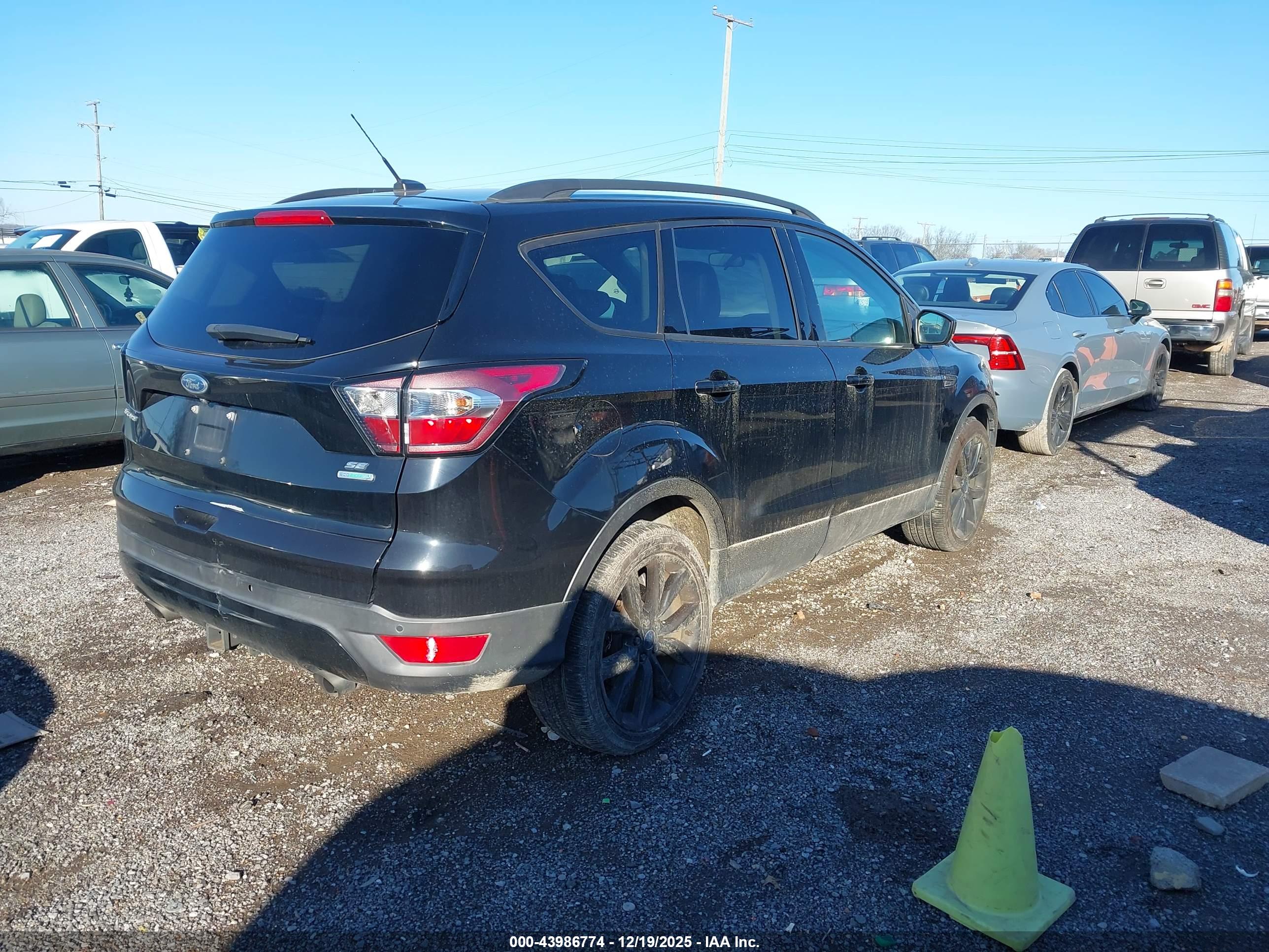 FORD ESCAPE image 4