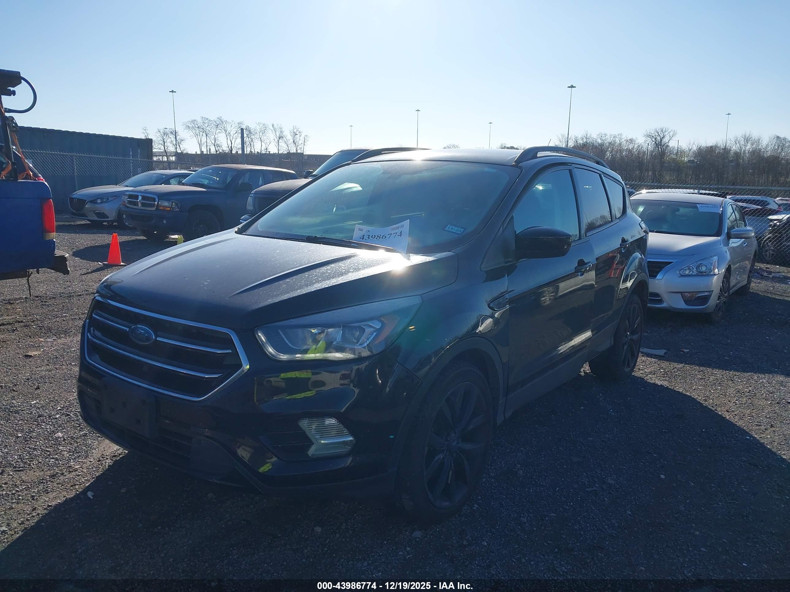 FORD ESCAPE image 6