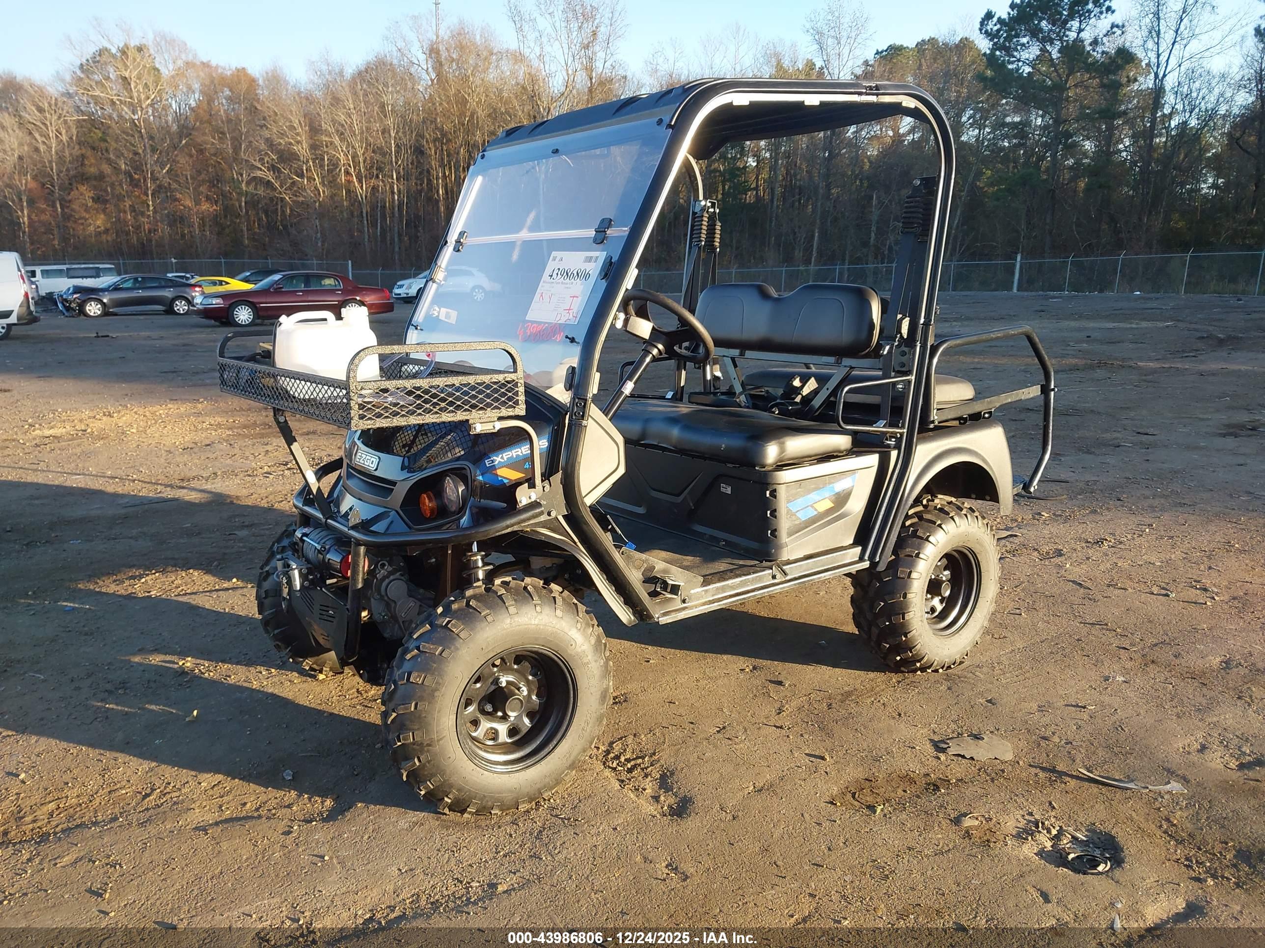 EZ-GO RXV image 2