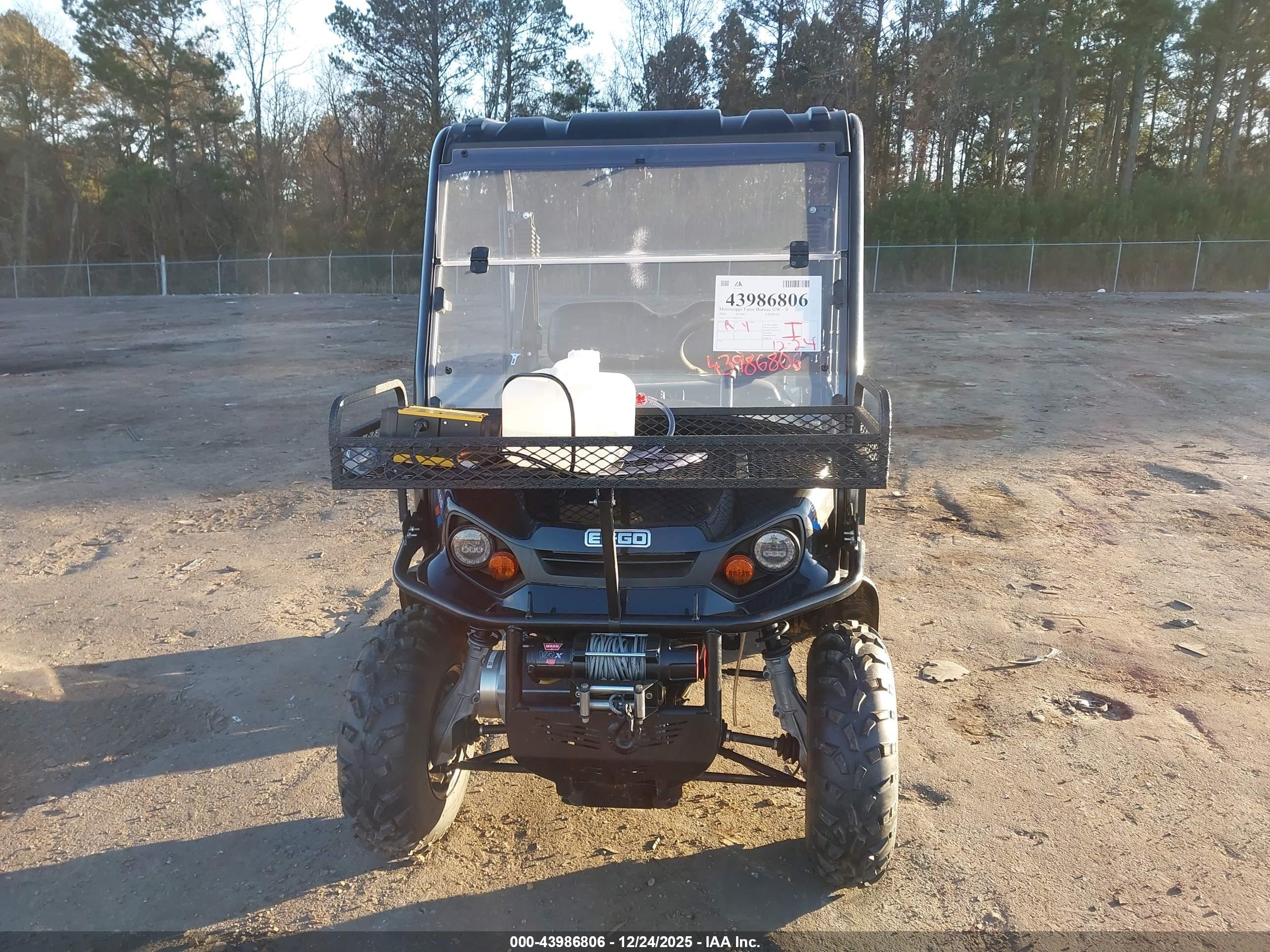 EZ-GO RXV image 5