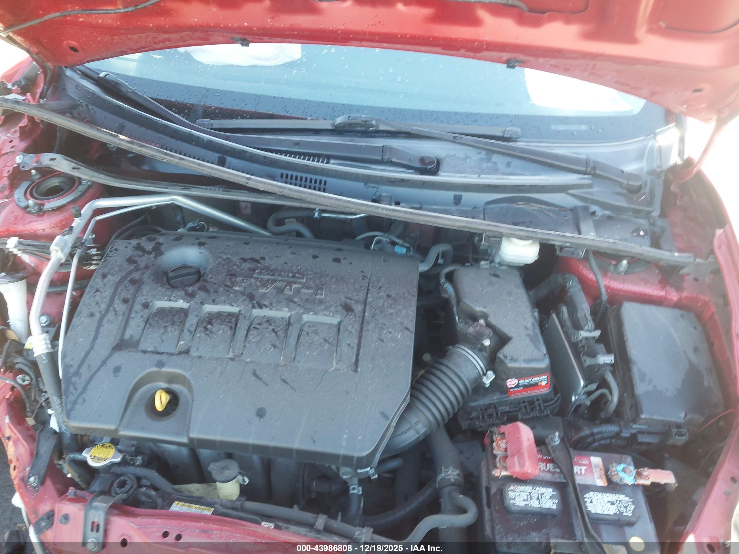 TOYOTA COROLLA image 10