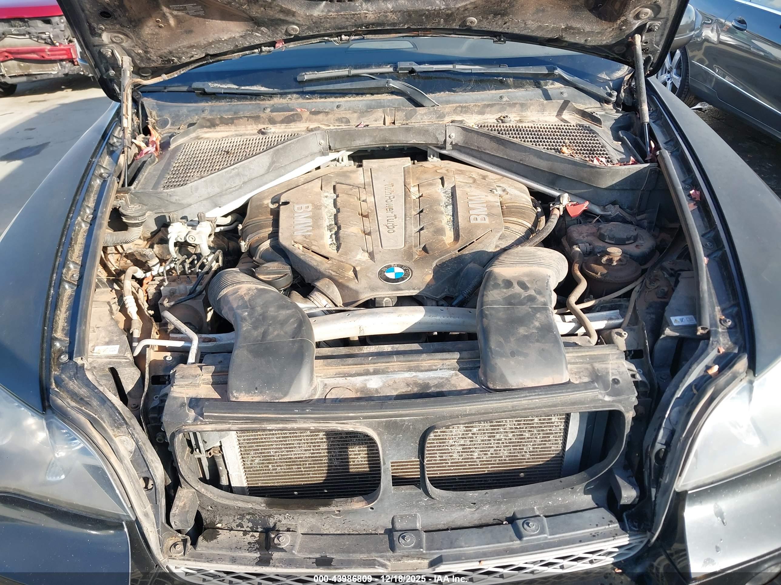 BMW X5 image 10