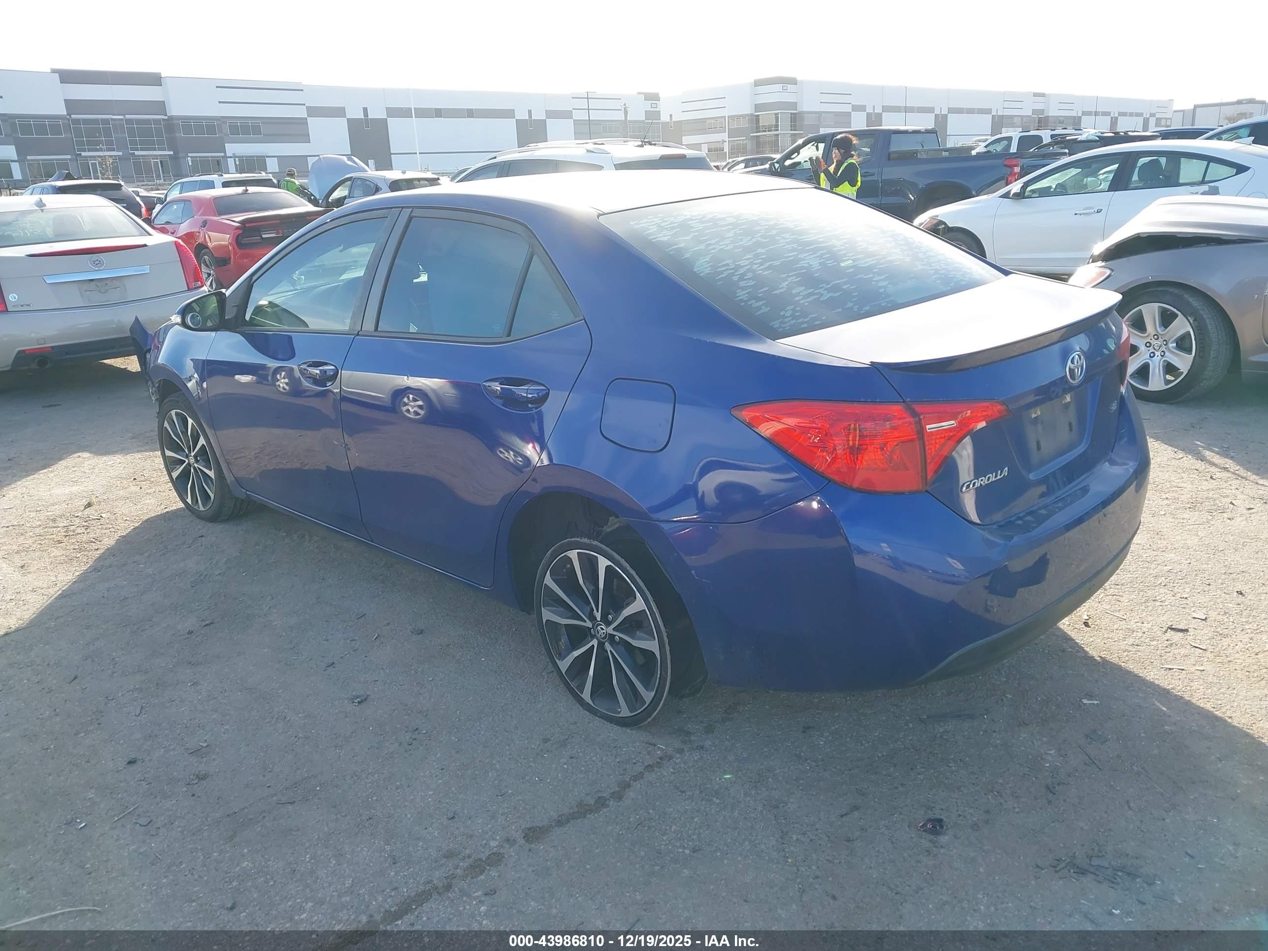TOYOTA COROLLA image 3
