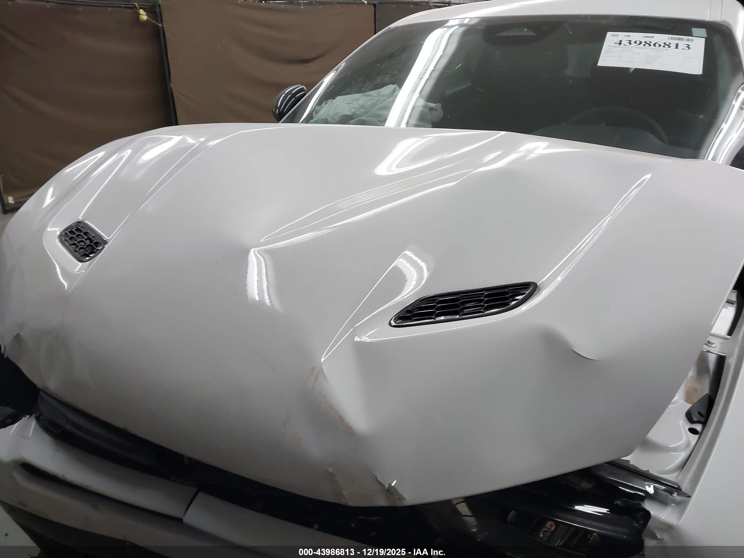 DODGE HORNET image 10