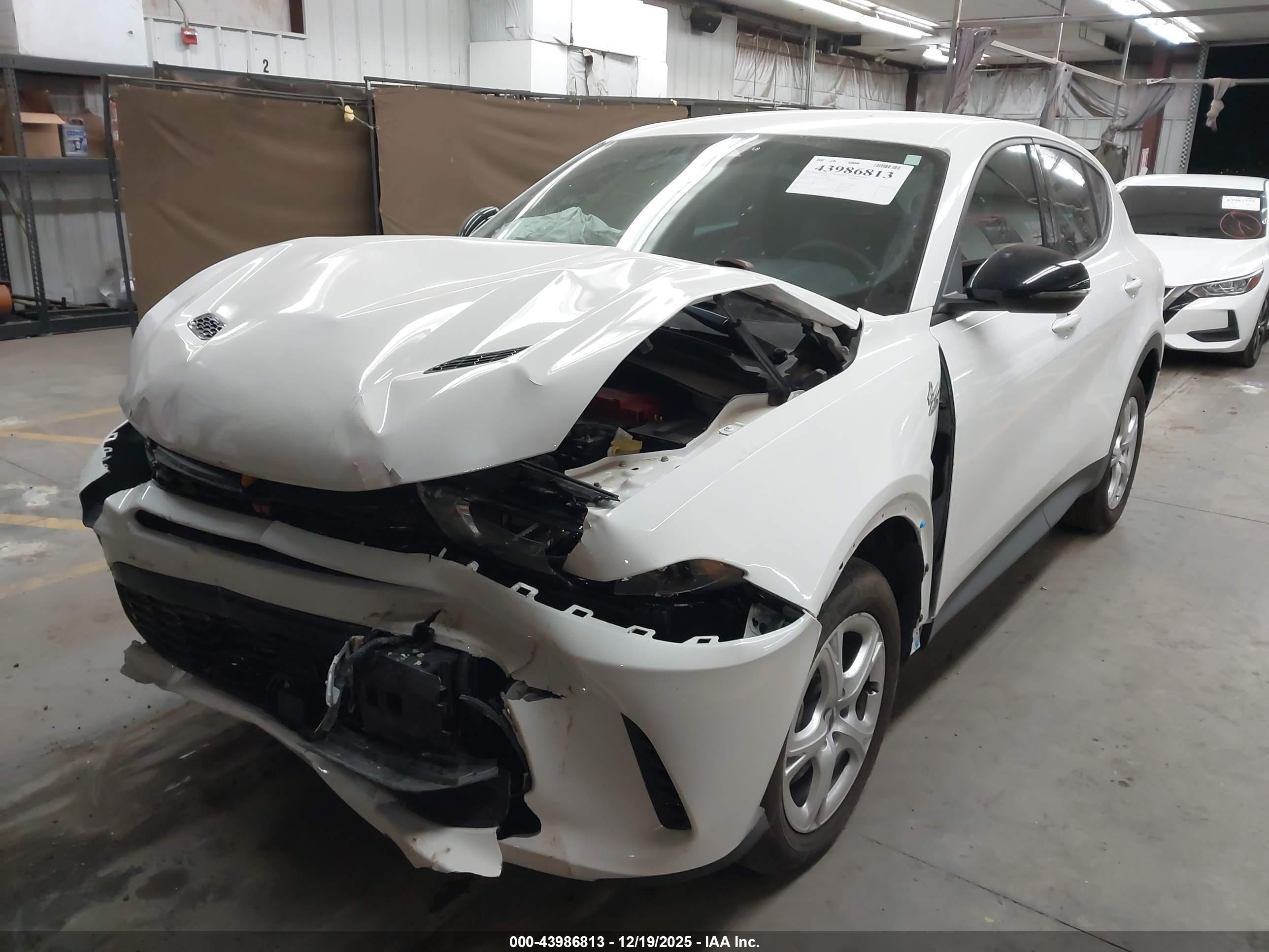 DODGE HORNET image 2