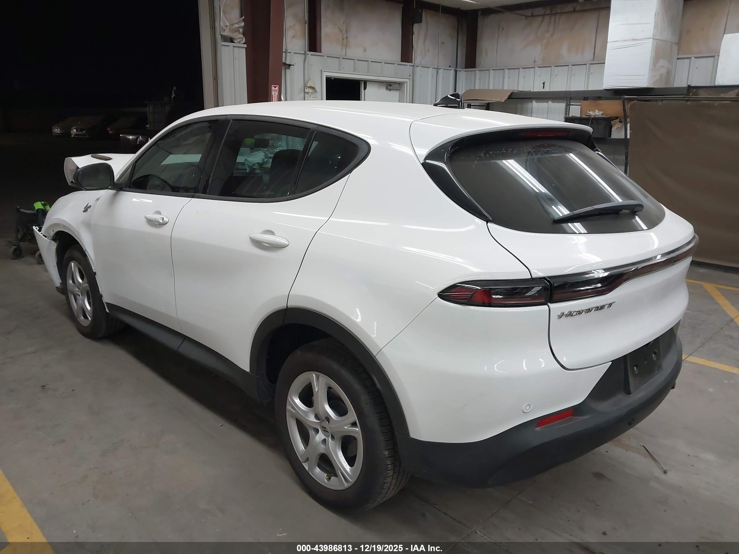 DODGE HORNET image 3