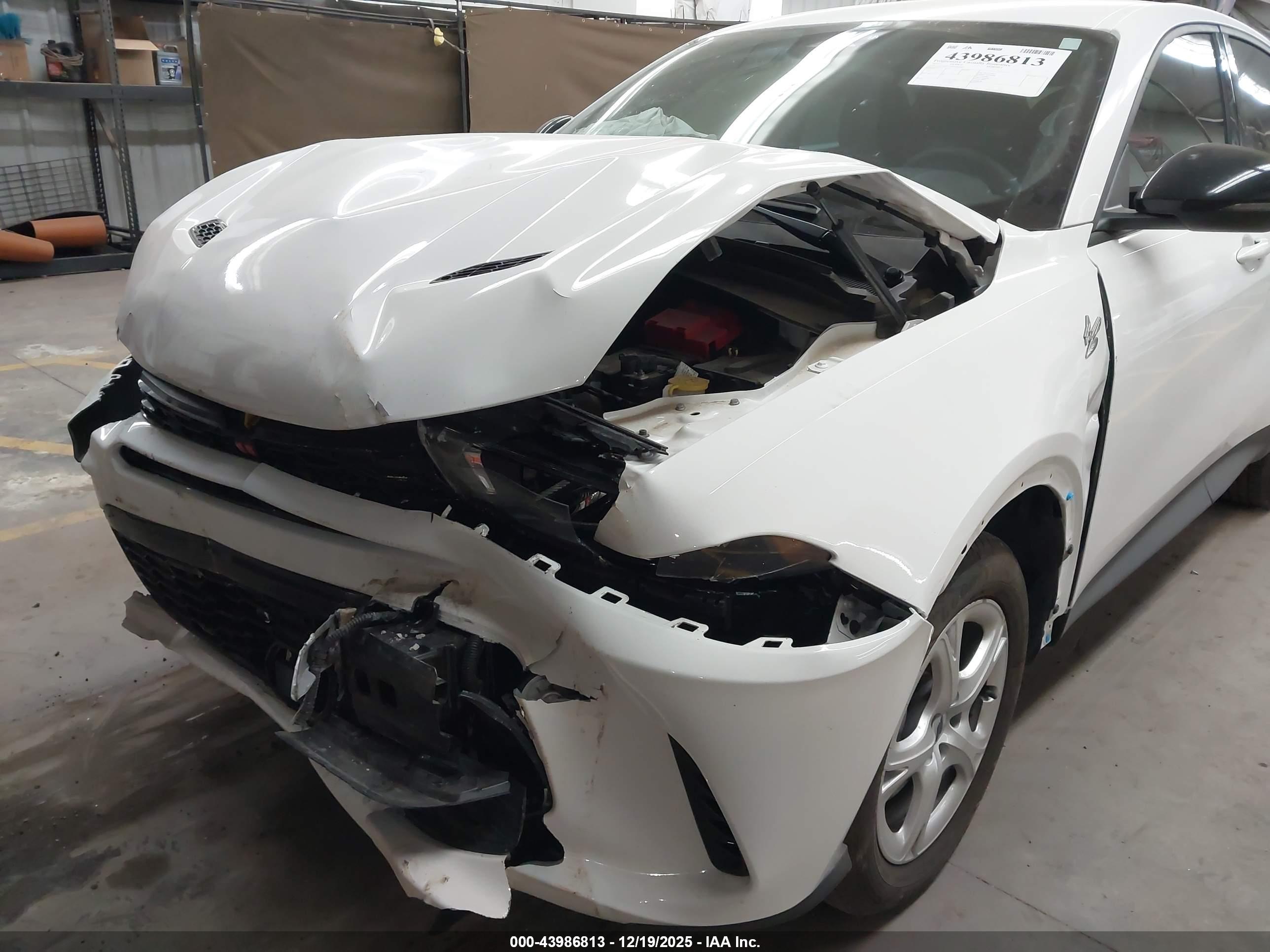 DODGE HORNET image 6
