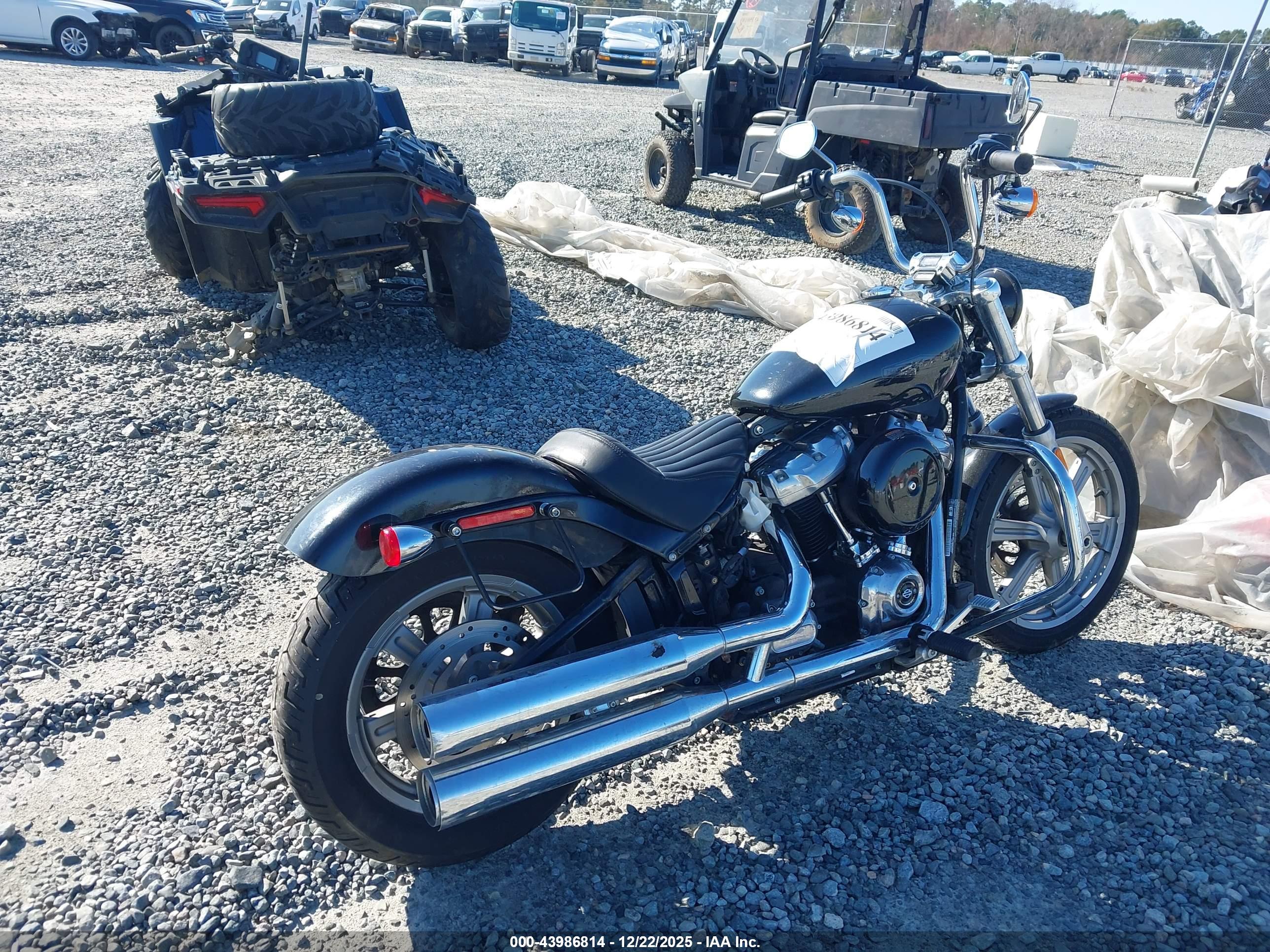 HARLEY-DAVIDSON FXST image 4