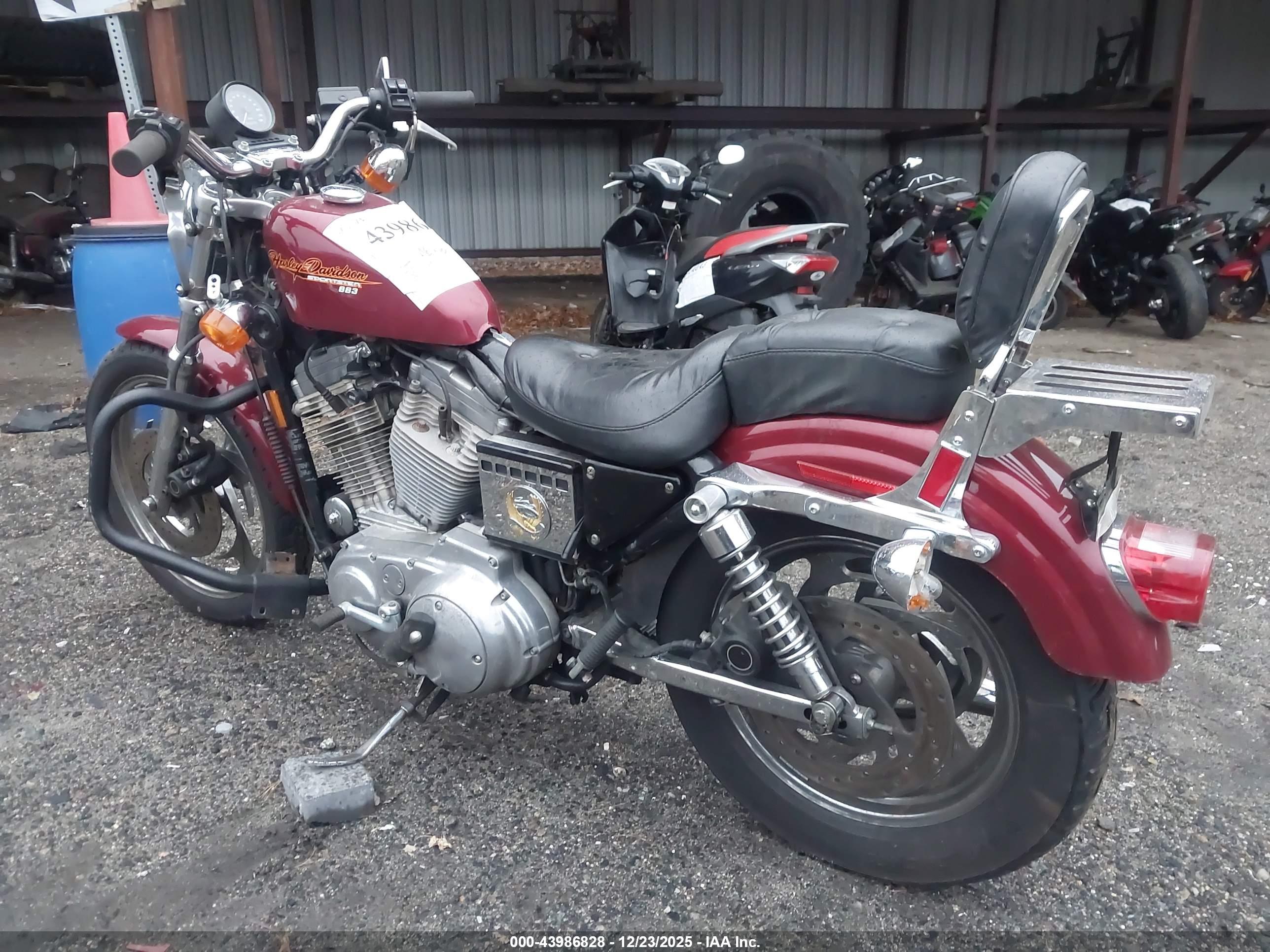 HARLEY-DAVIDSON XL883 image 3