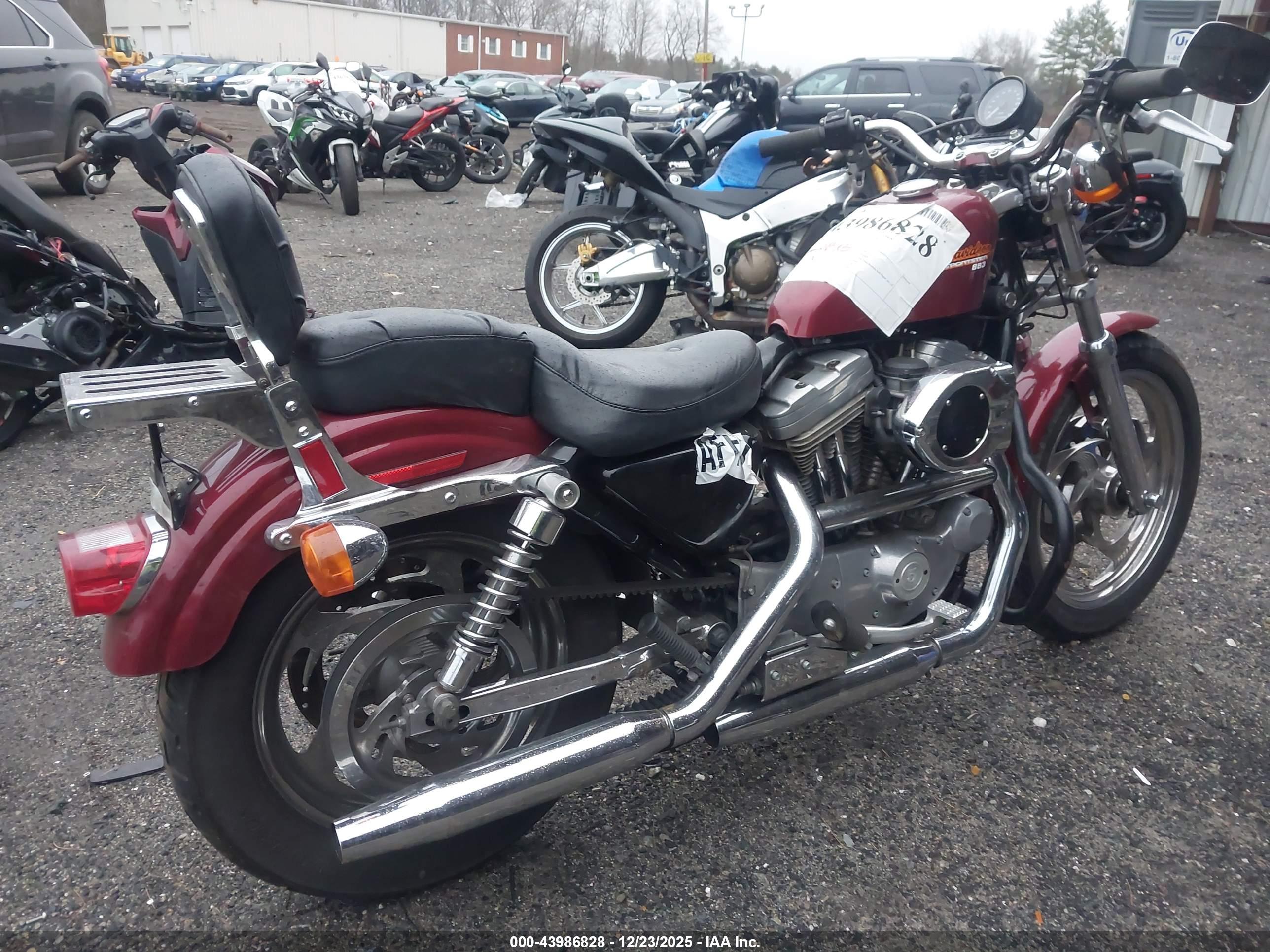 HARLEY-DAVIDSON XL883 image 4