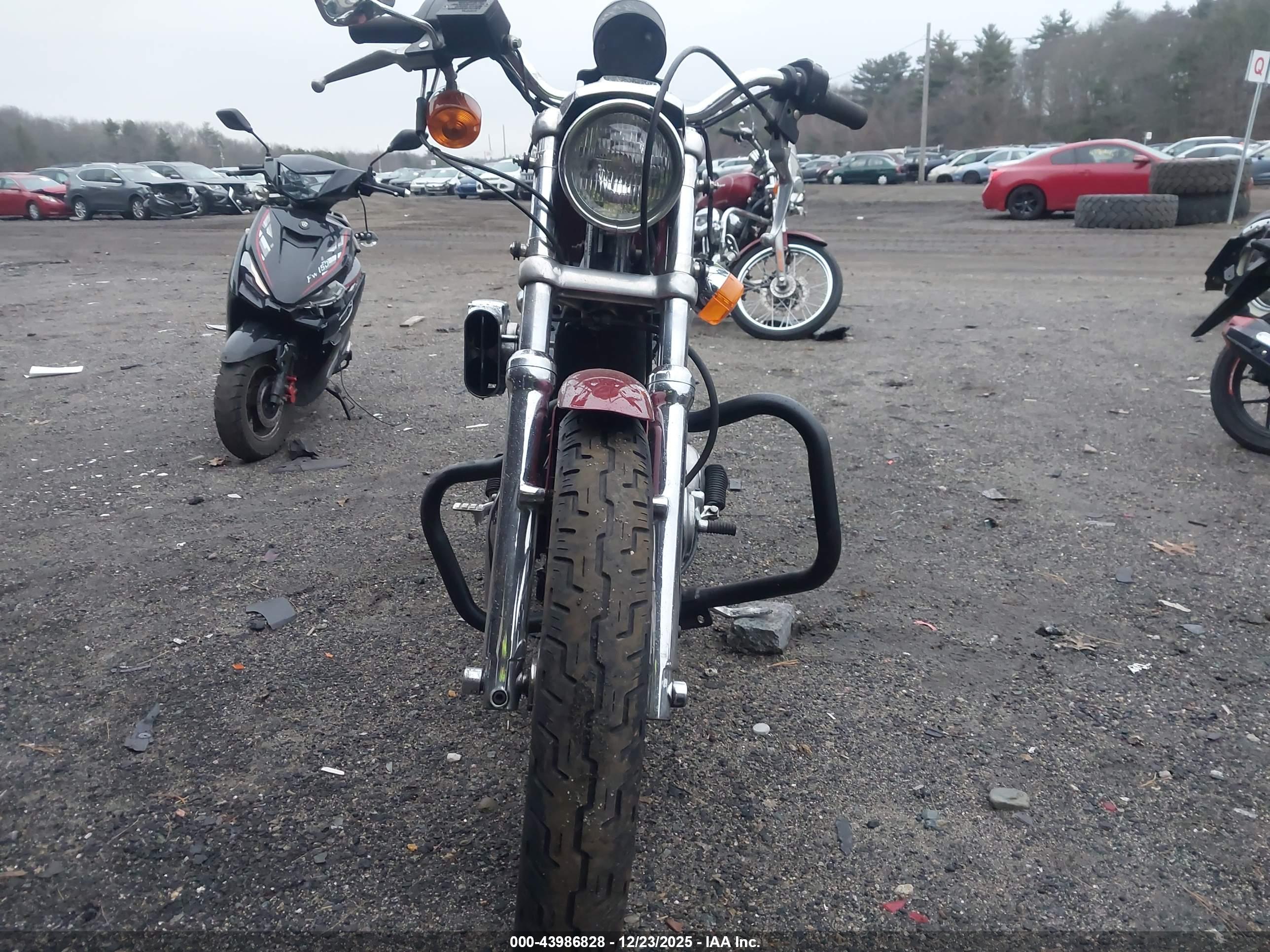 HARLEY-DAVIDSON XL883 image 5