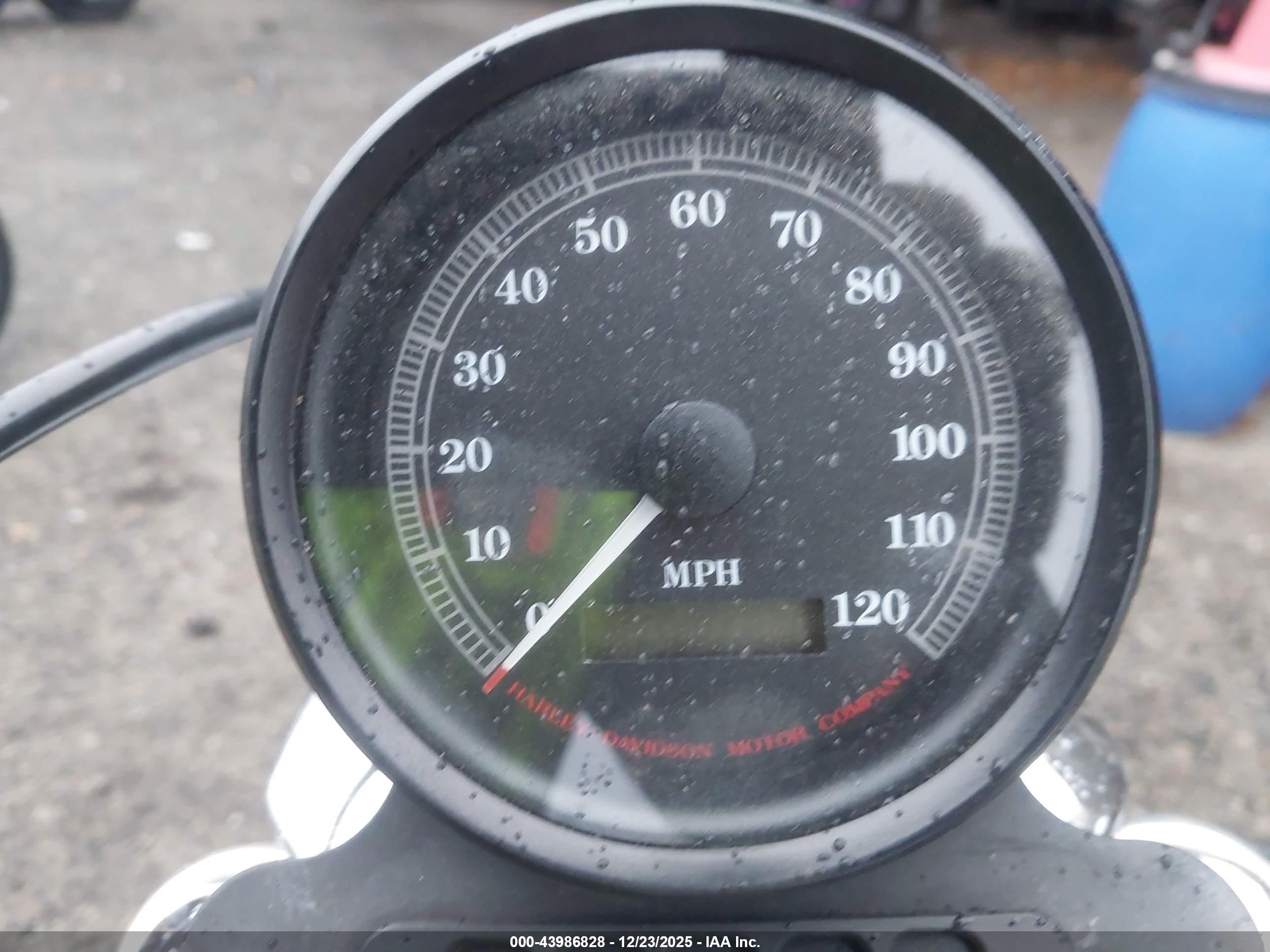 HARLEY-DAVIDSON XL883 image 7