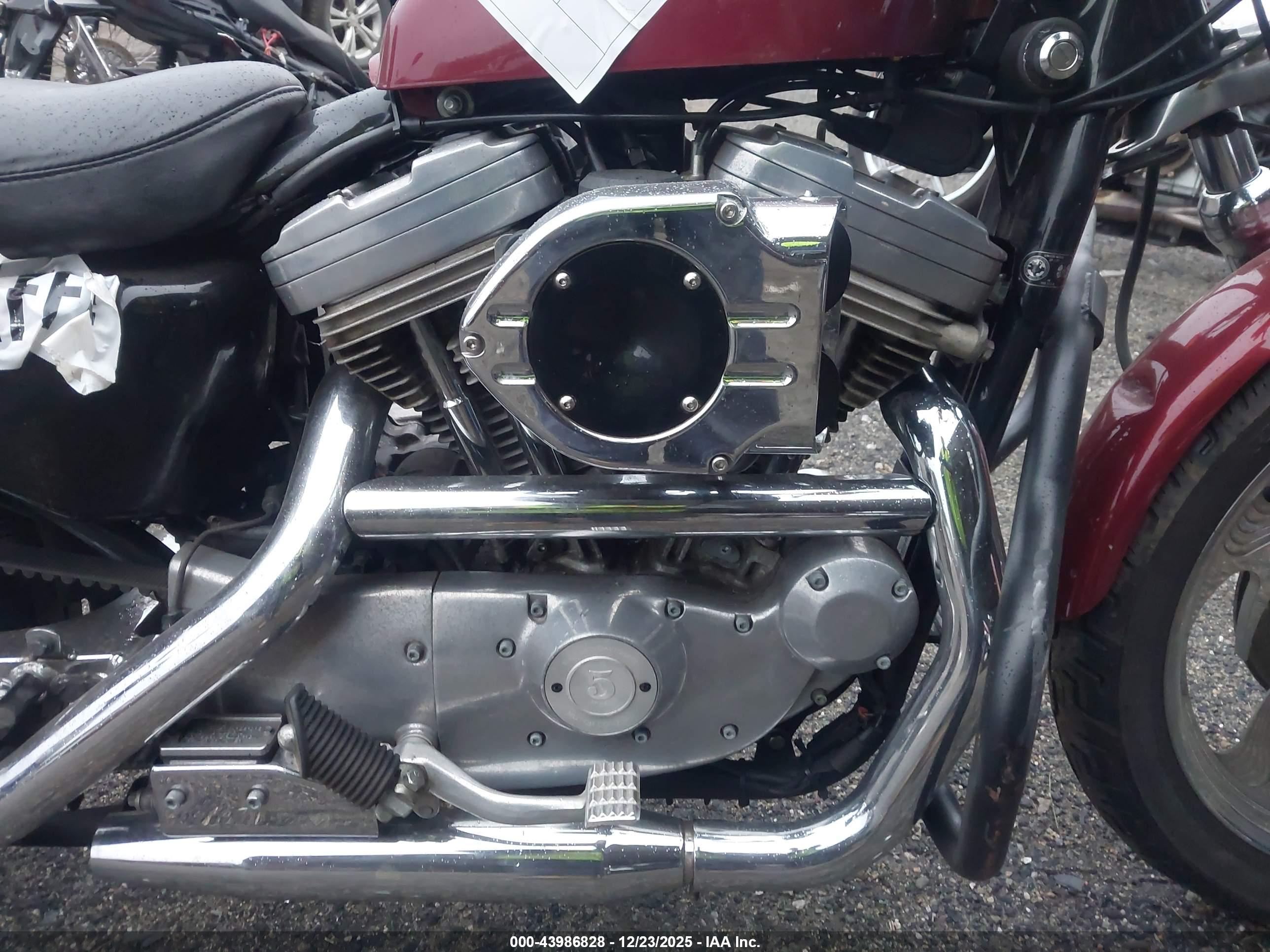 HARLEY-DAVIDSON XL883 image 8