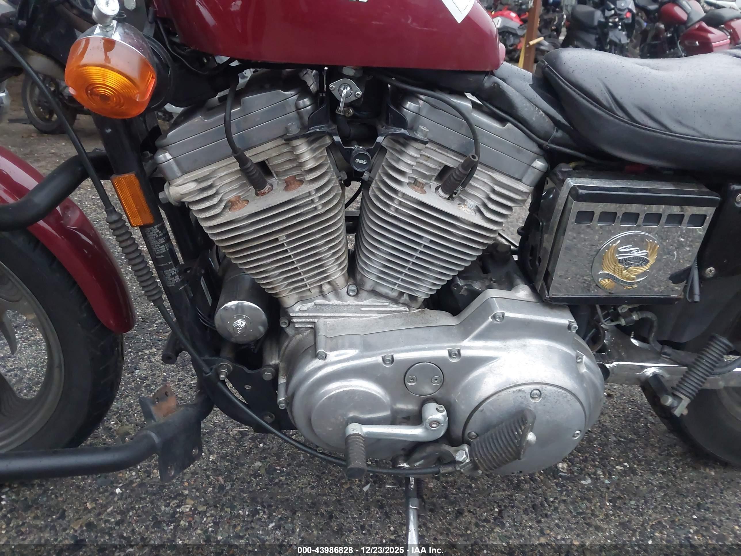 HARLEY-DAVIDSON XL883 image 9