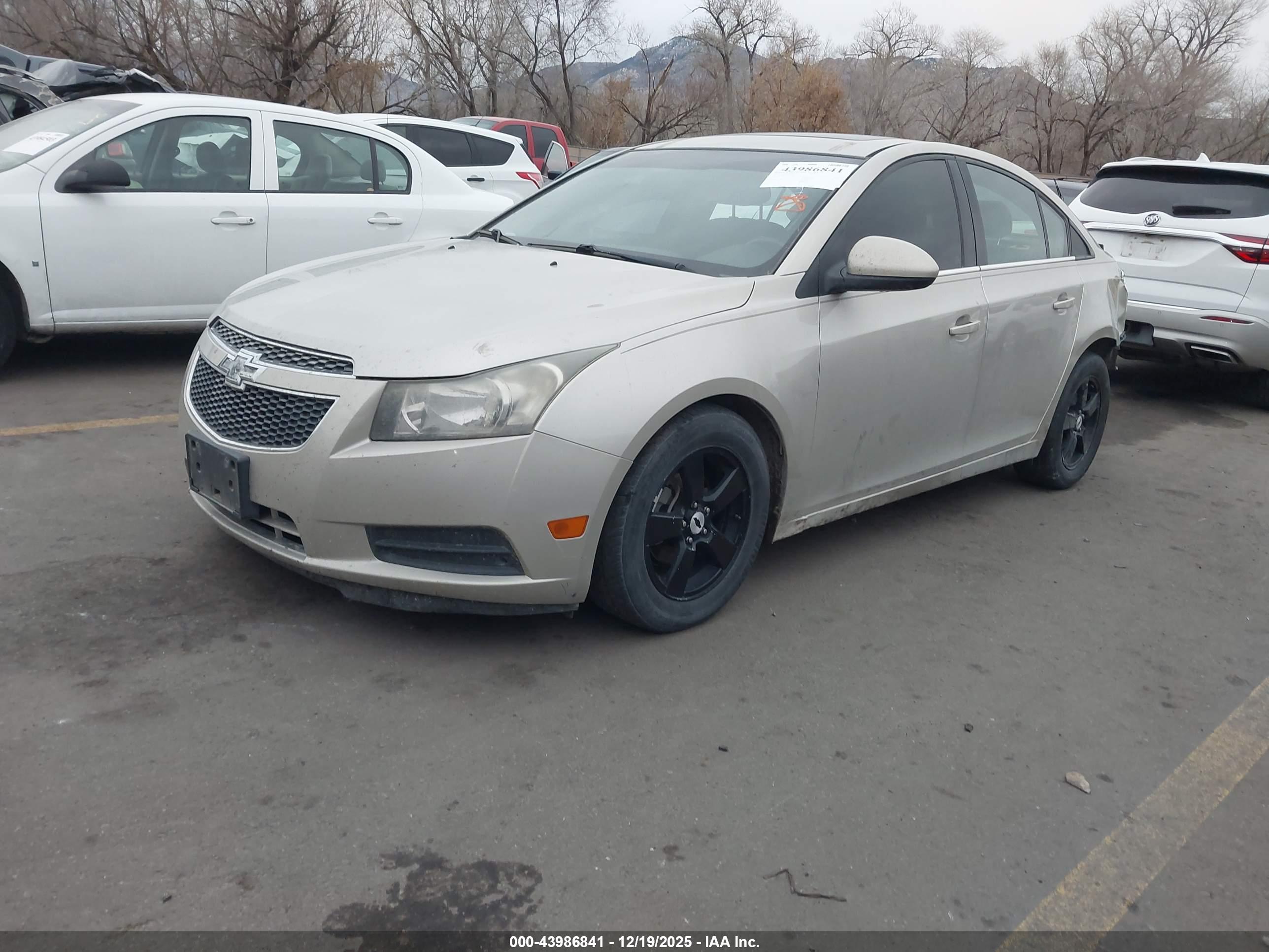 CHEVROLET CRUZE image 2