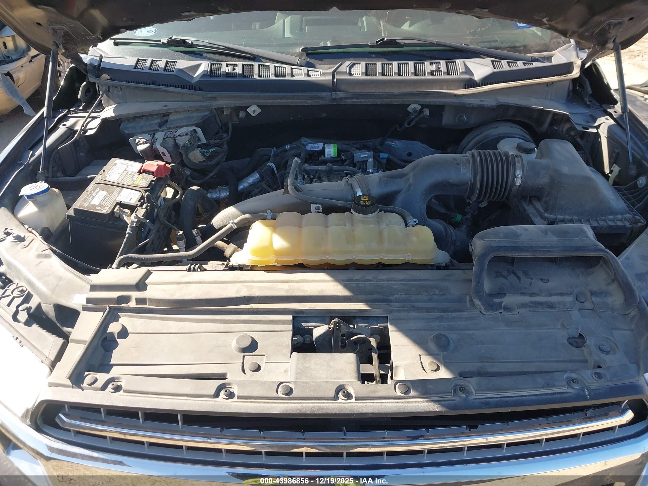 FORD F-150 image 10