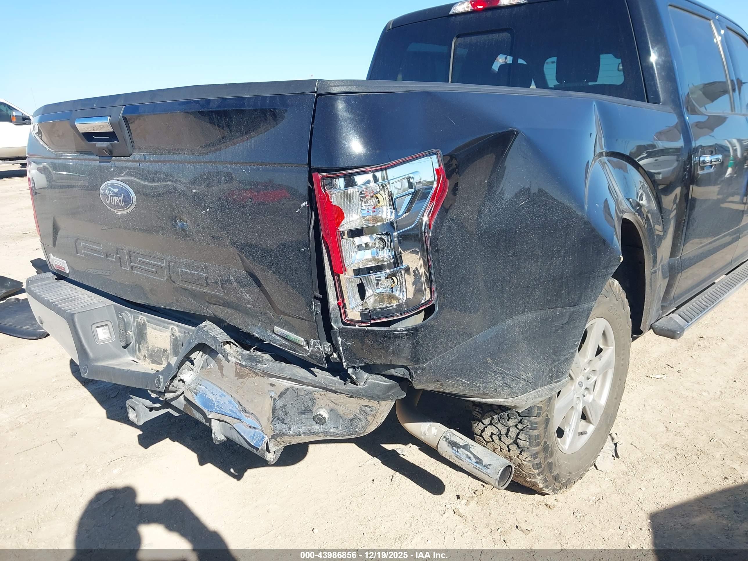 FORD F-150 image 6