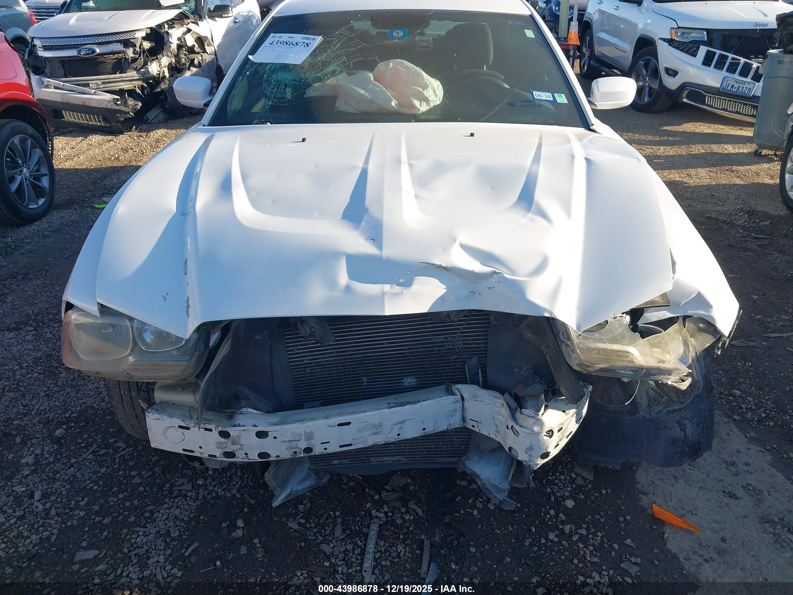 DODGE CHARGER image 6