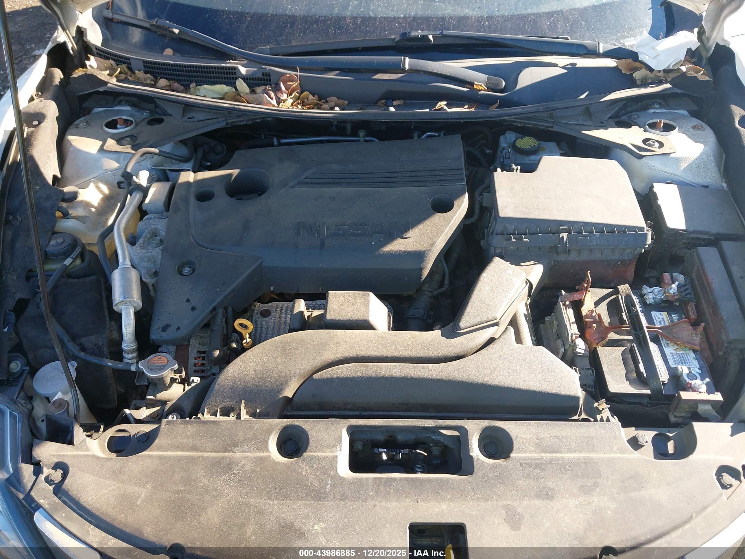 NISSAN ALTIMA image 10