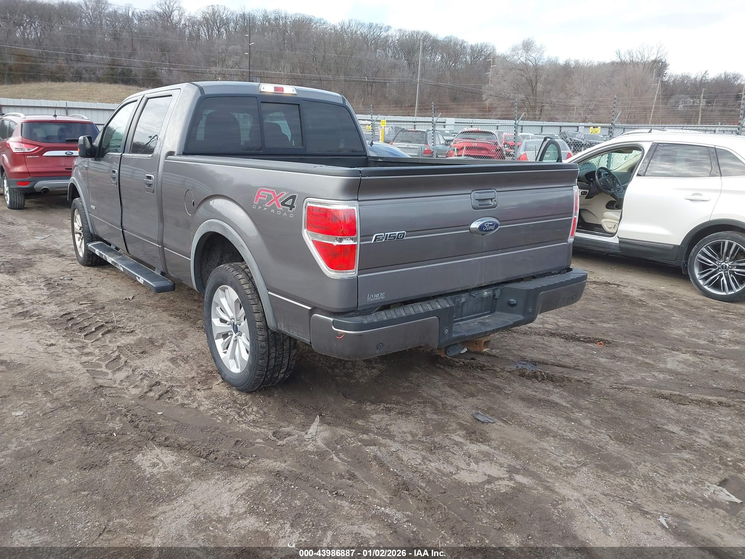 FORD F-150 image 3