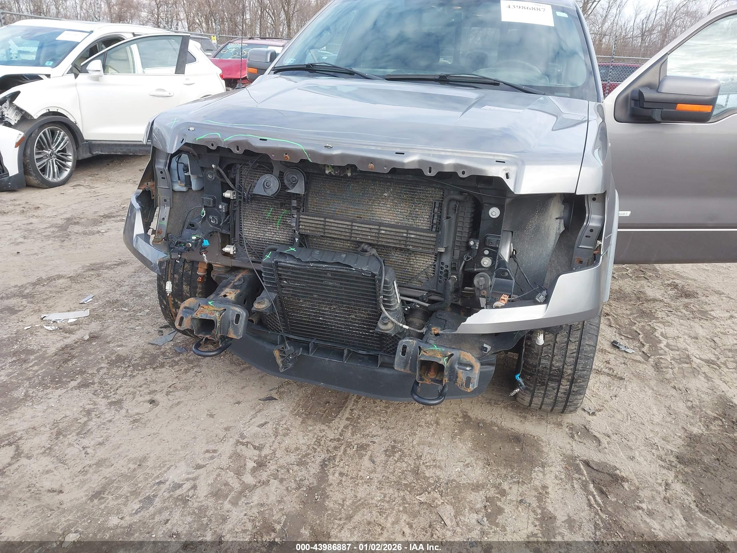 FORD F-150 image 6