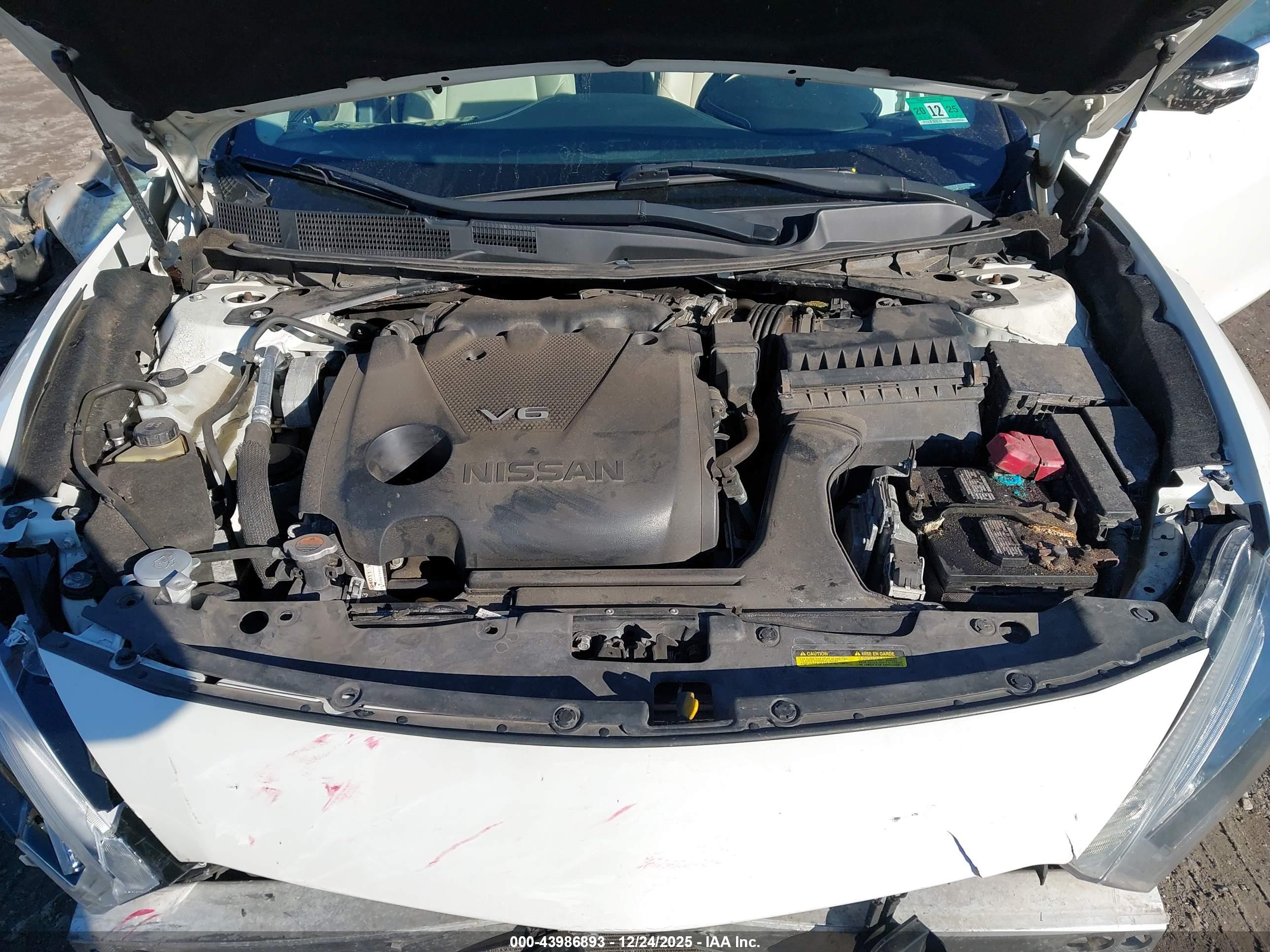 NISSAN MAXIMA image 10