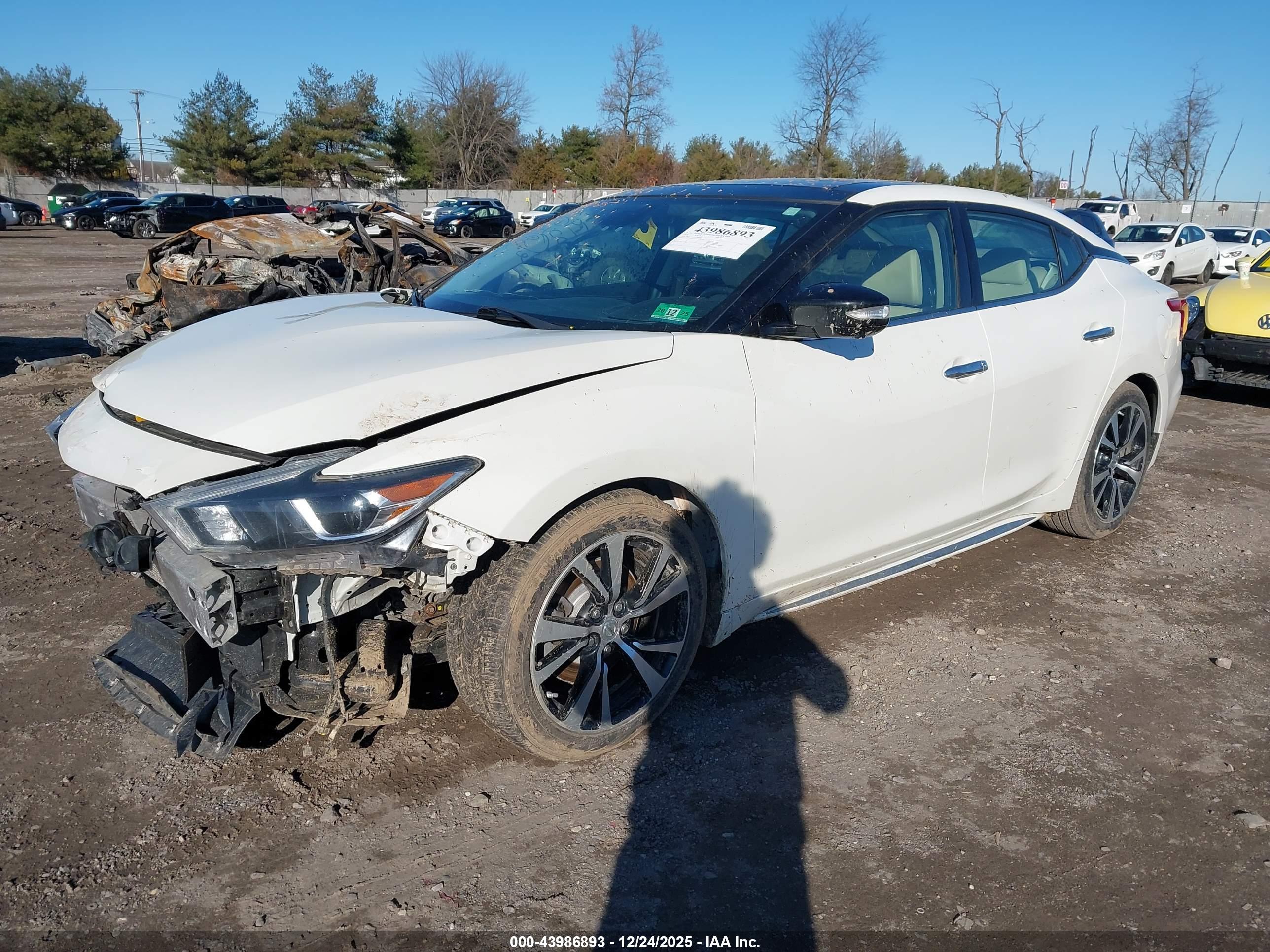 NISSAN MAXIMA image 2