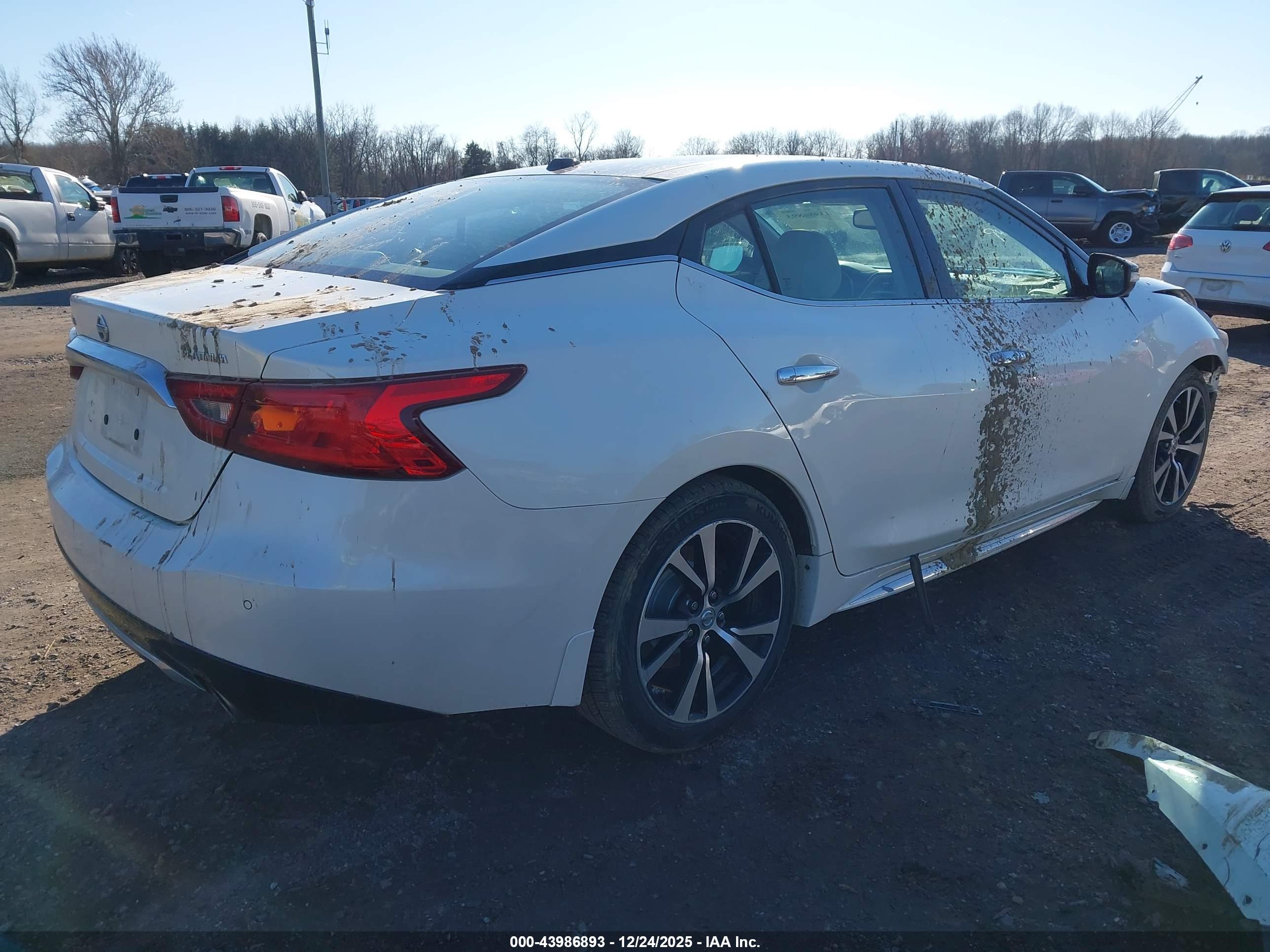 NISSAN MAXIMA image 4