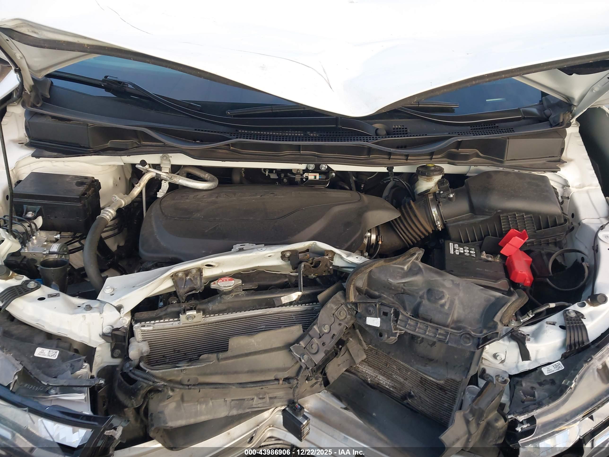 HONDA ODYSSEY image 10