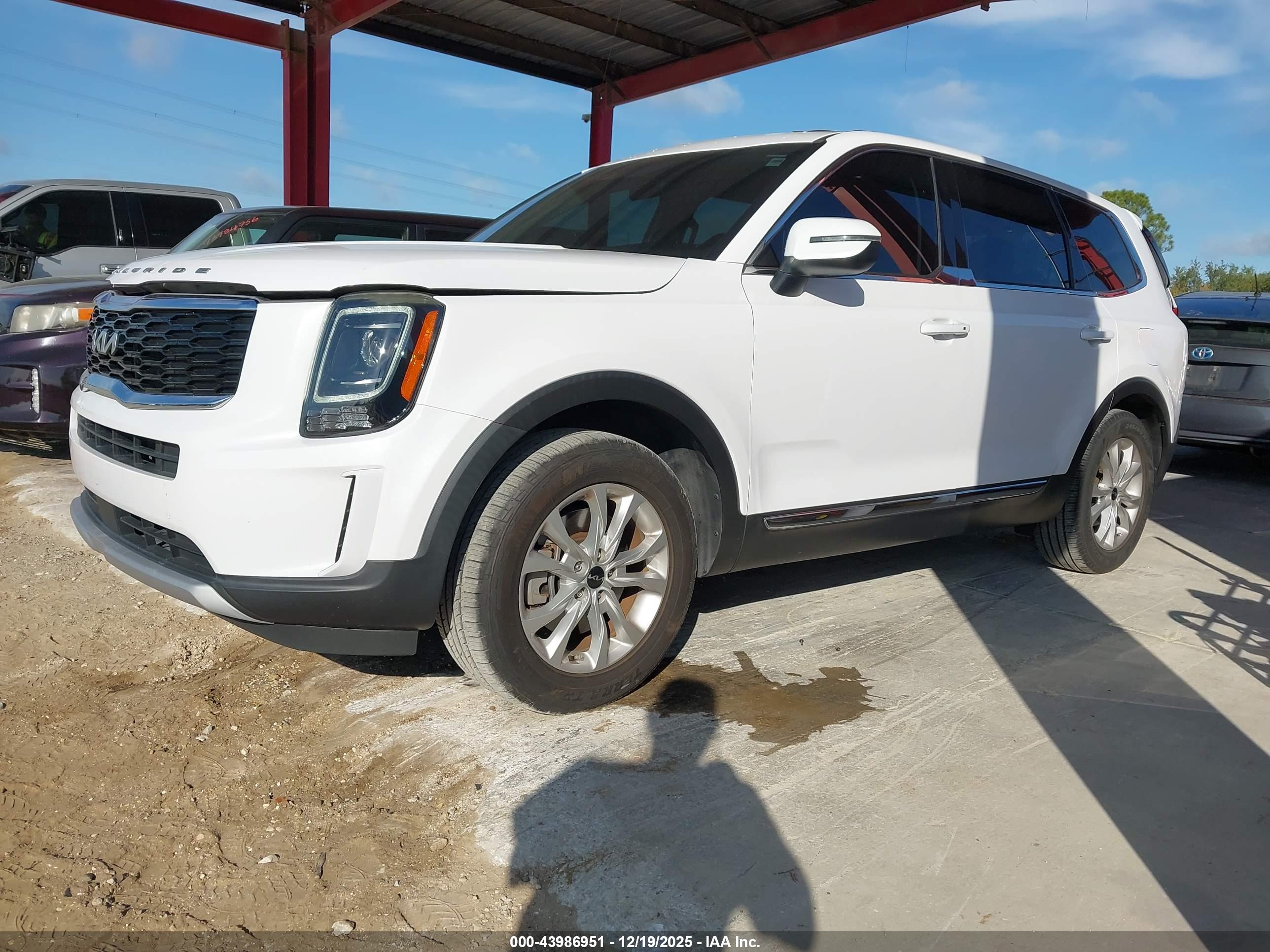 KIA TELLURIDE image 2