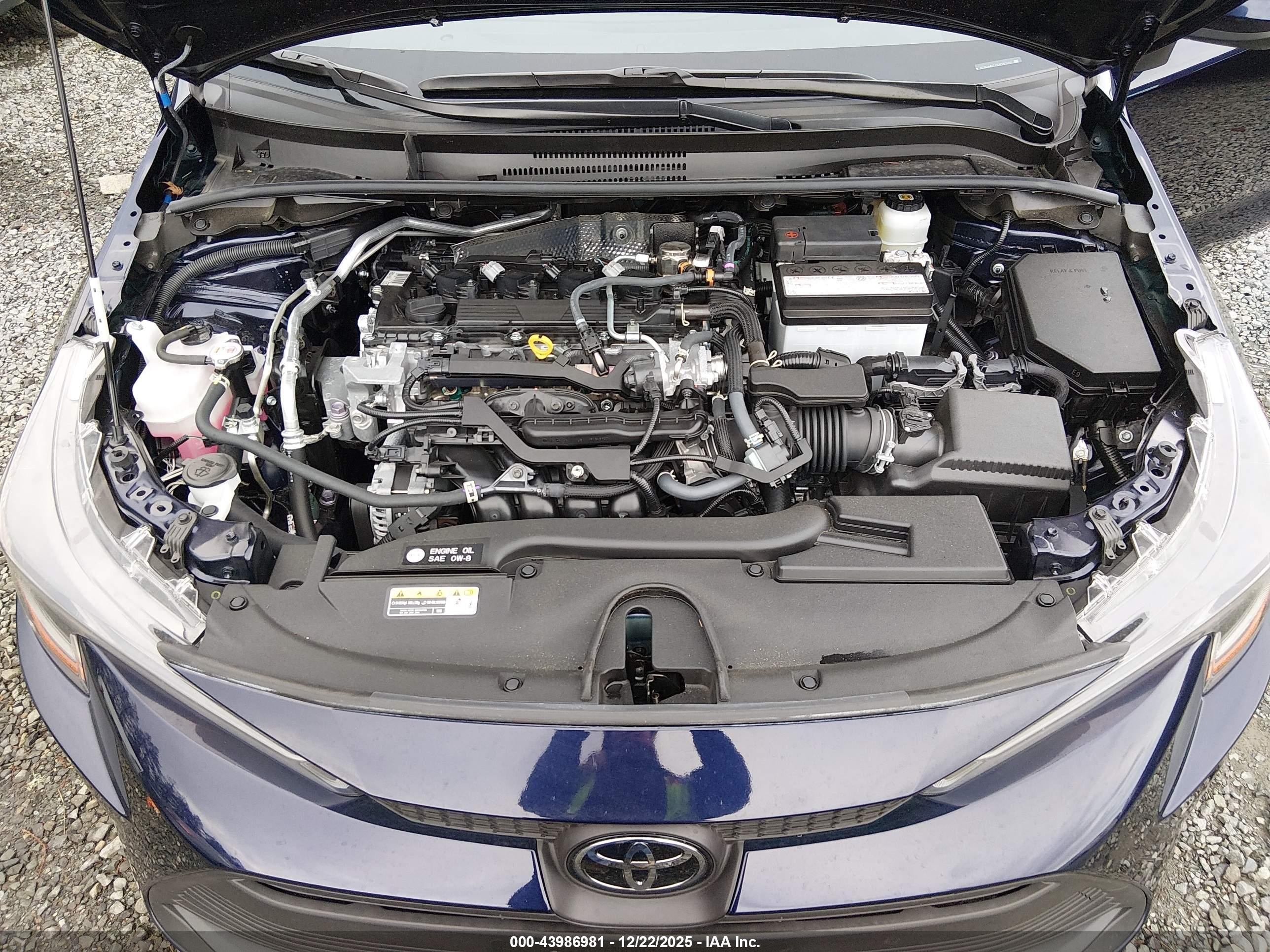 TOYOTA COROLLA image 10