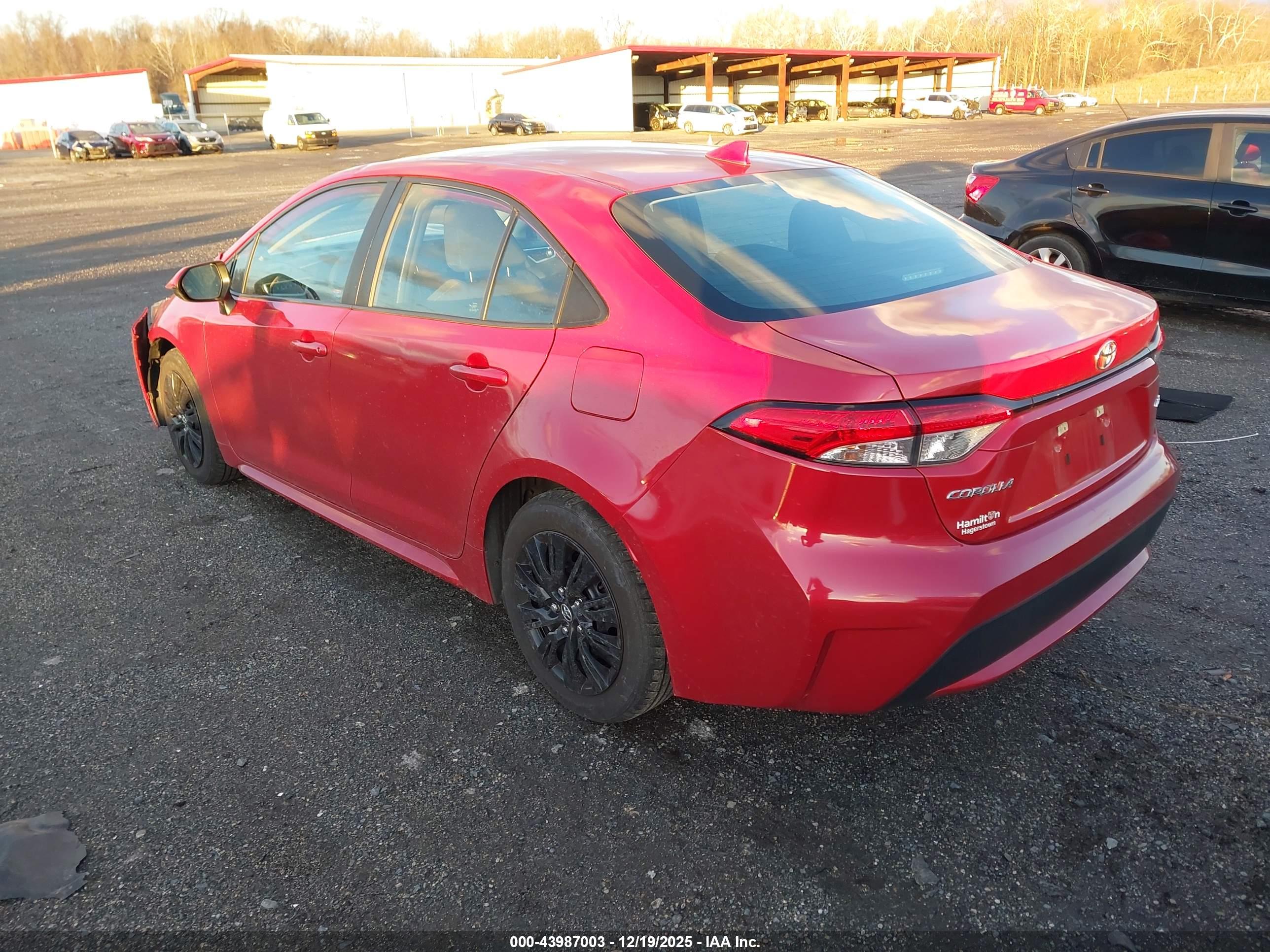 TOYOTA COROLLA image 3