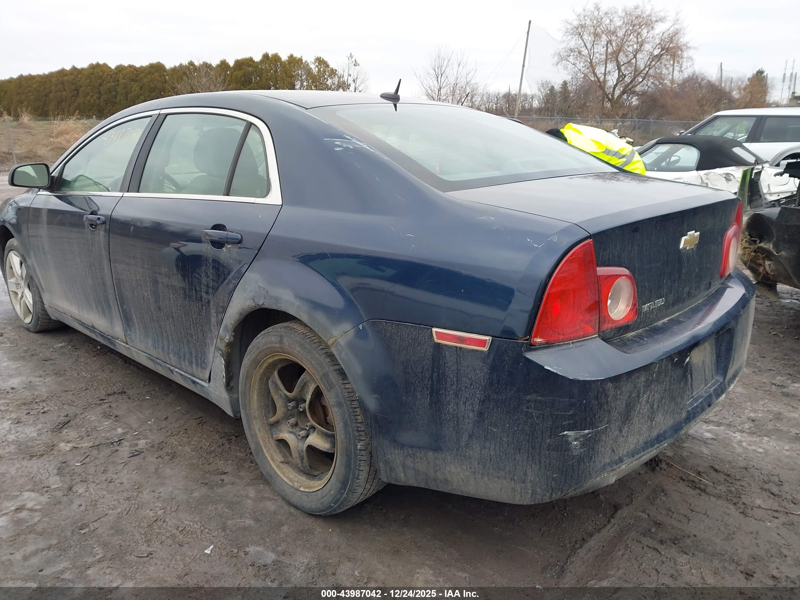 CHEVROLET MALIBU image 3