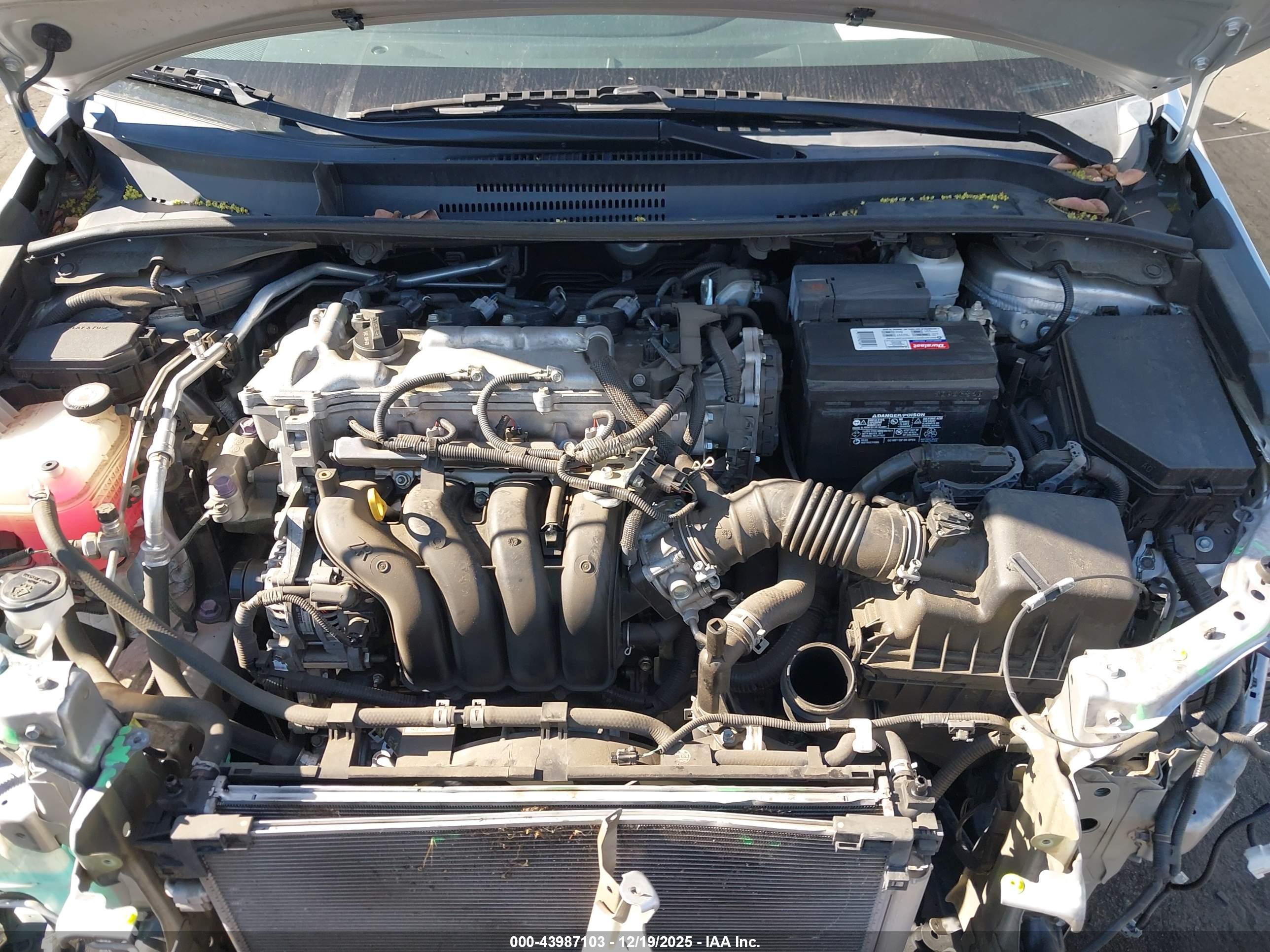 TOYOTA COROLLA image 10