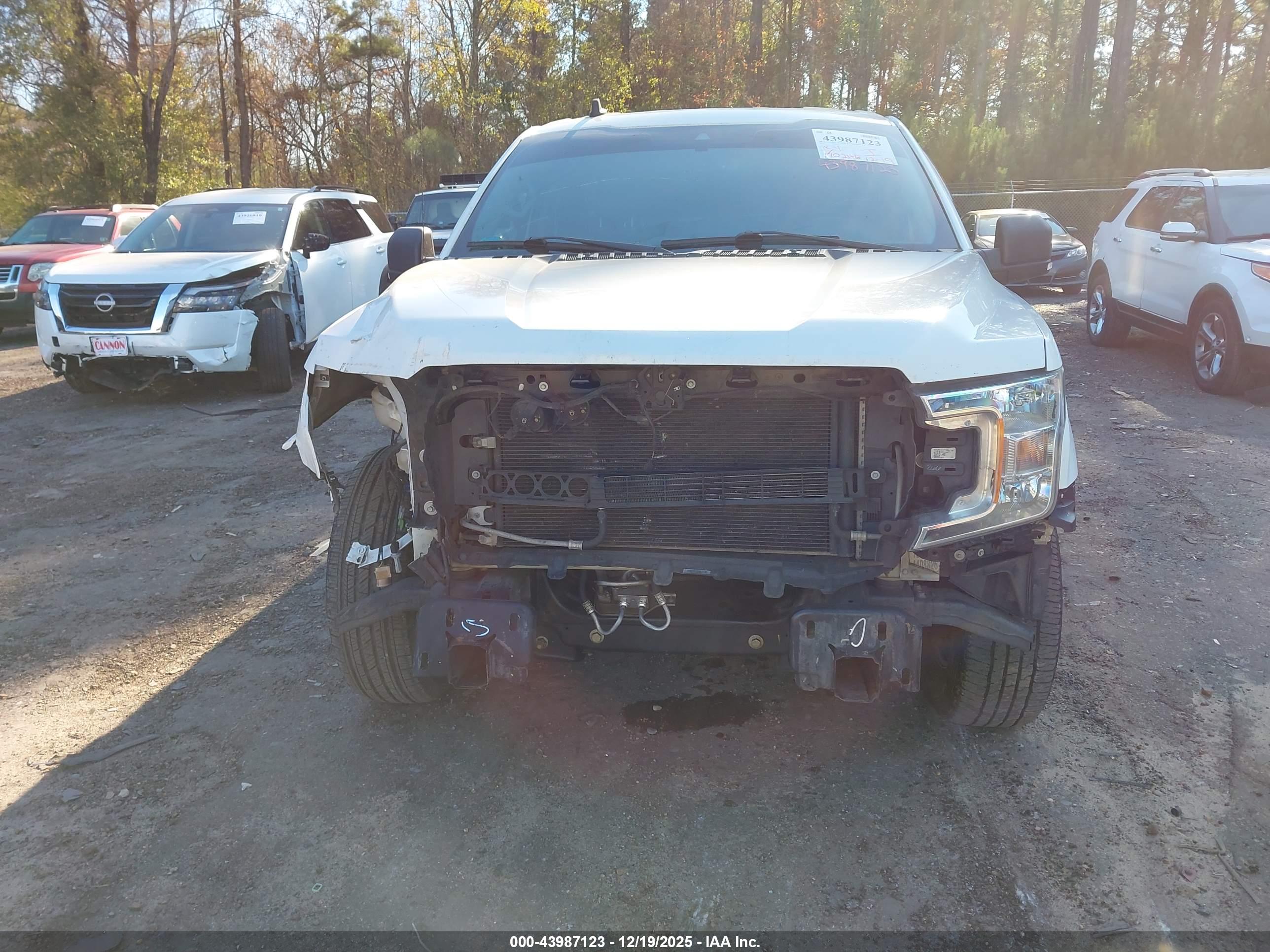 FORD F-150 image 6
