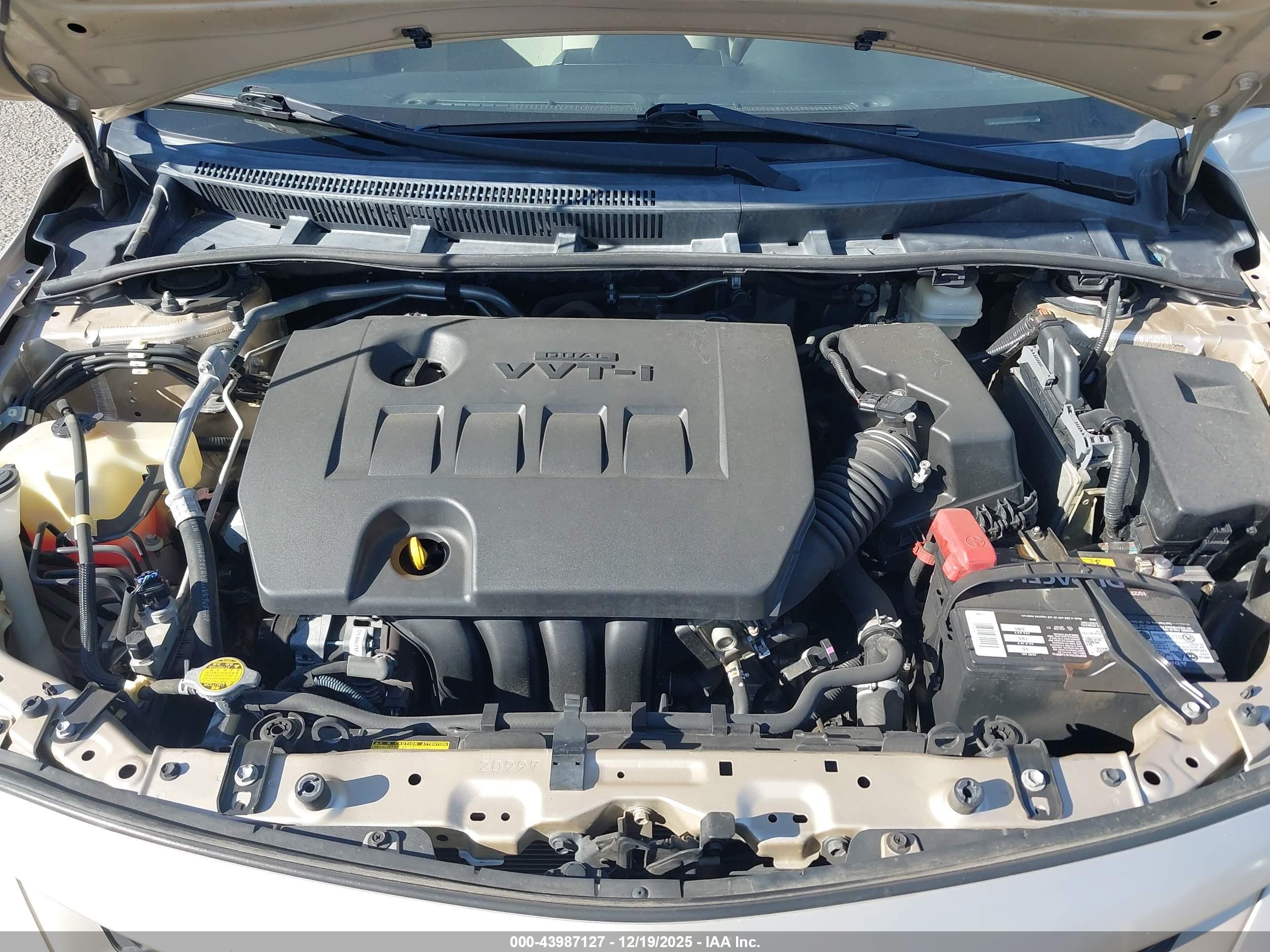 TOYOTA COROLLA image 10