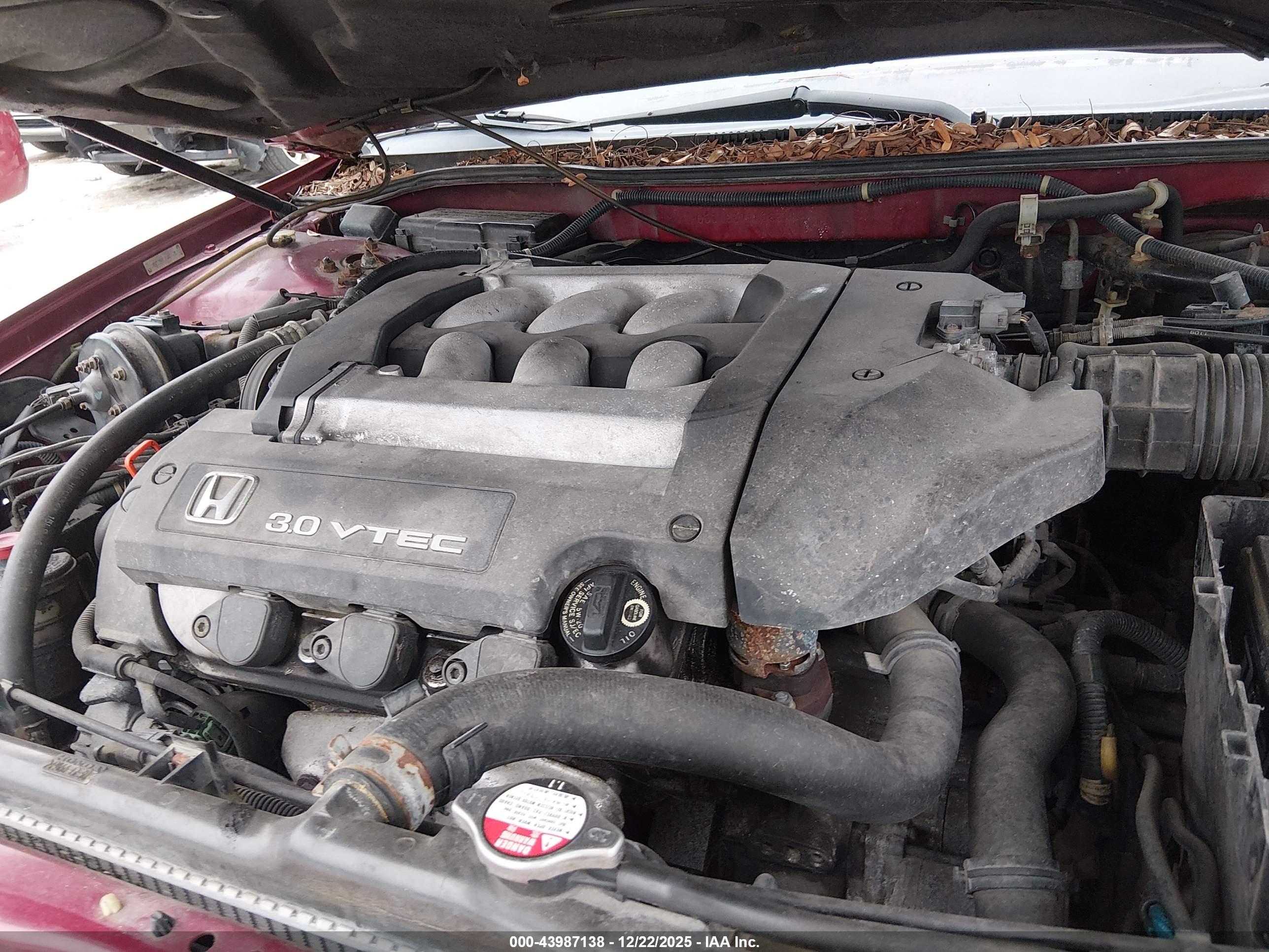 HONDA ACCORD image 10