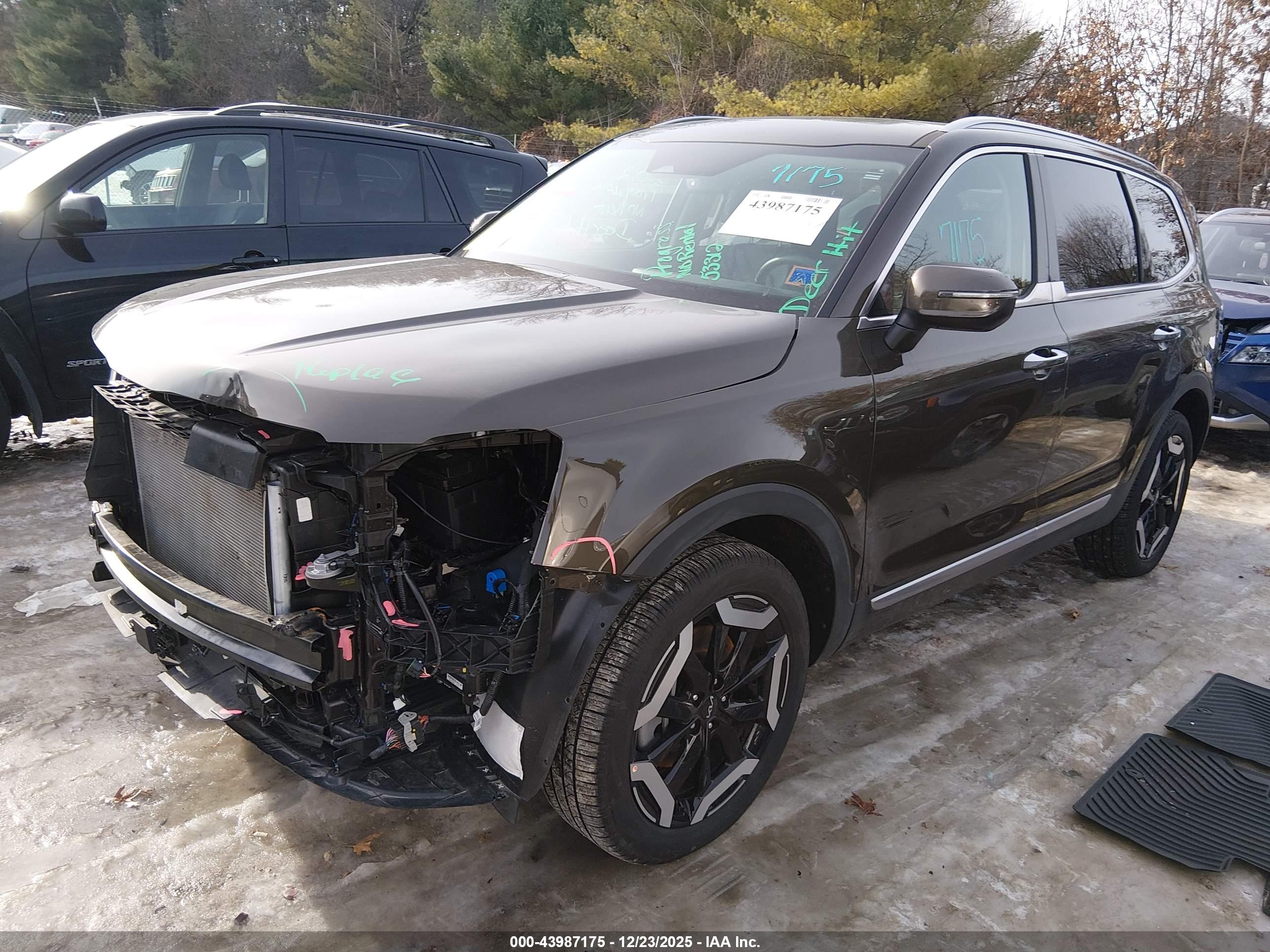 KIA TELLURIDE image 2