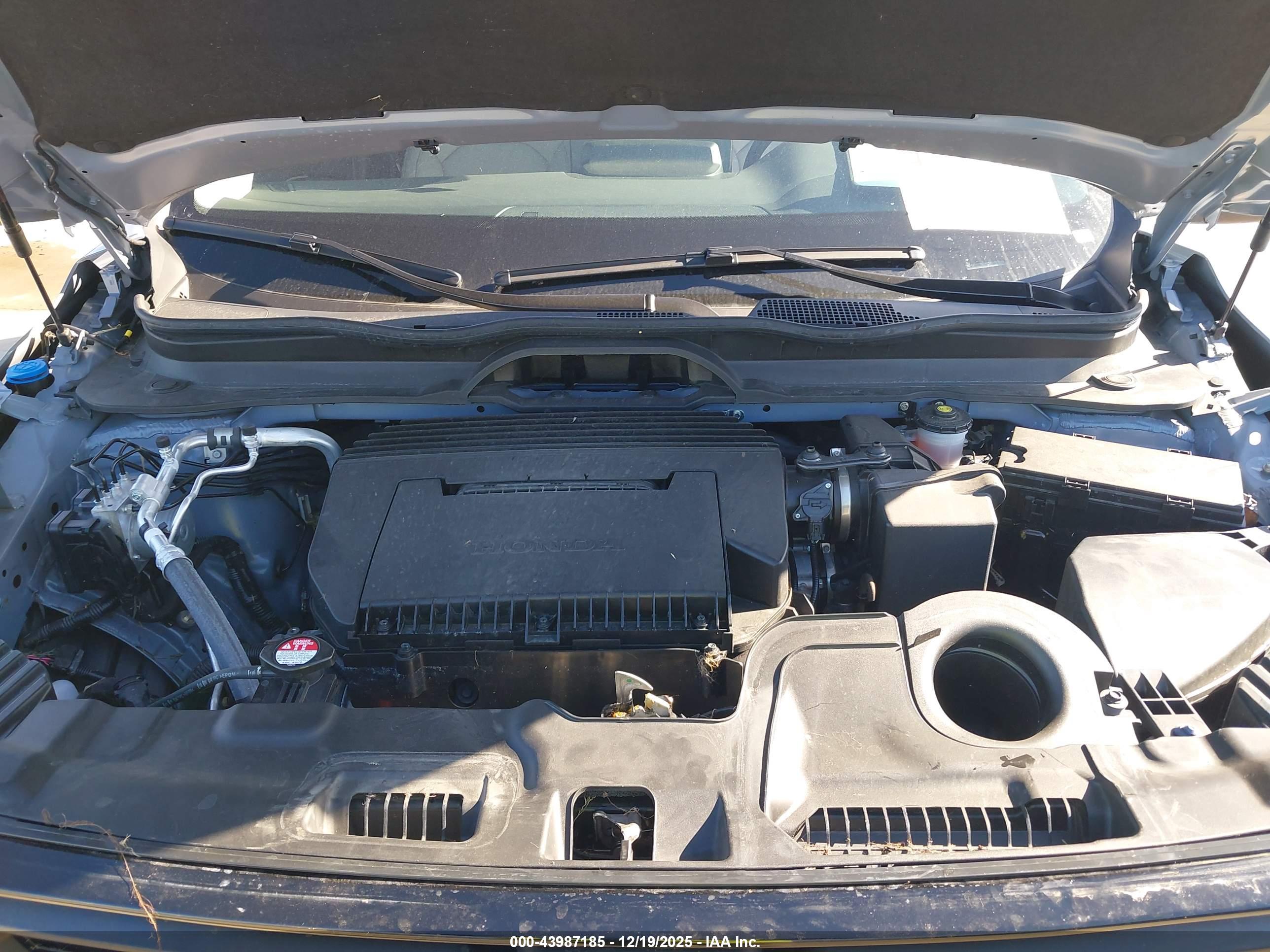 HONDA PASSPORT image 10